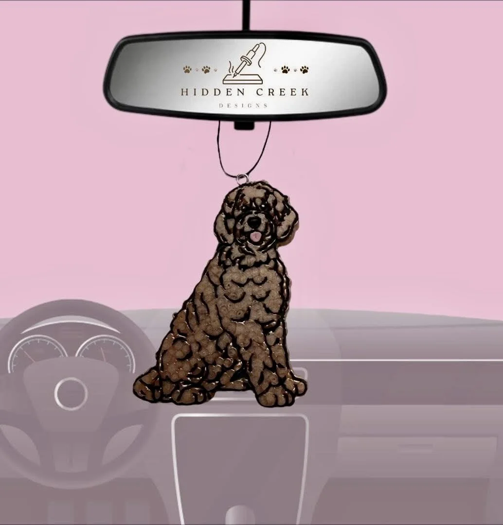 Doodle, goldendoodle