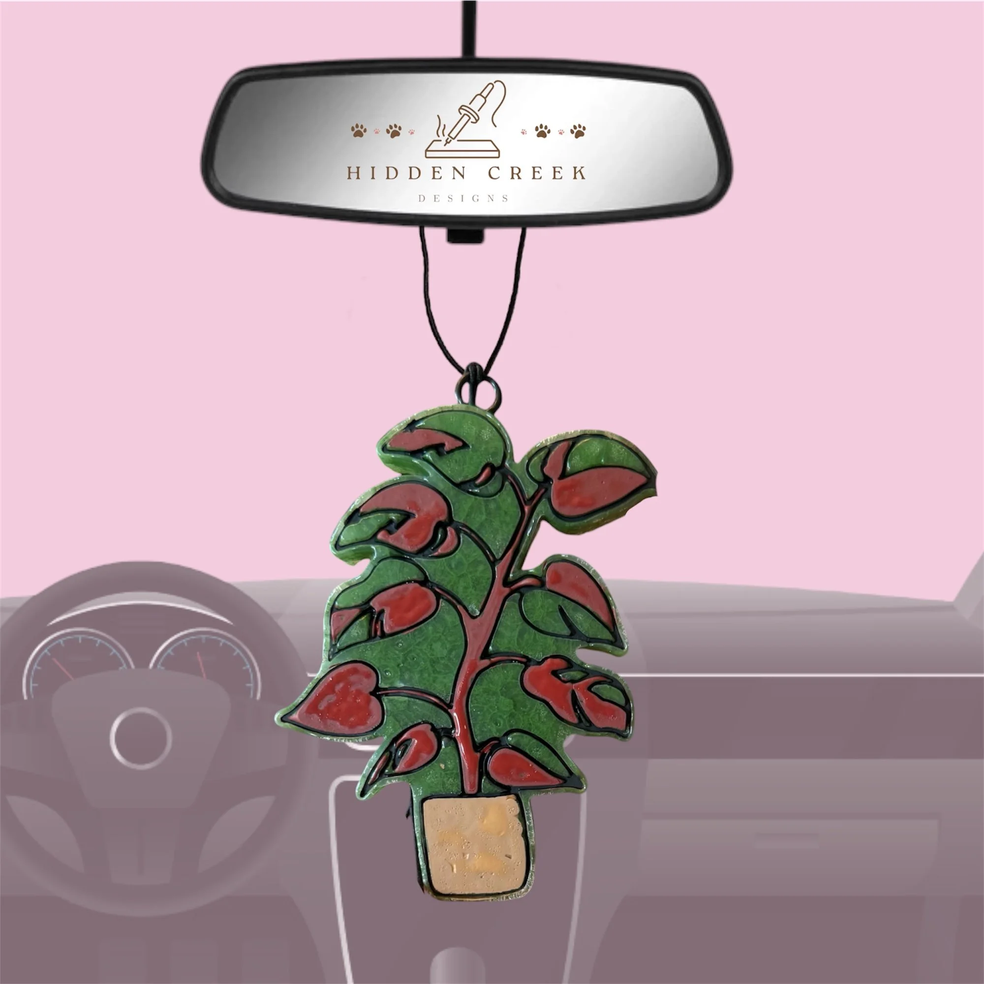 Varigated Philodendron (white knight, pink princess, white wizard)