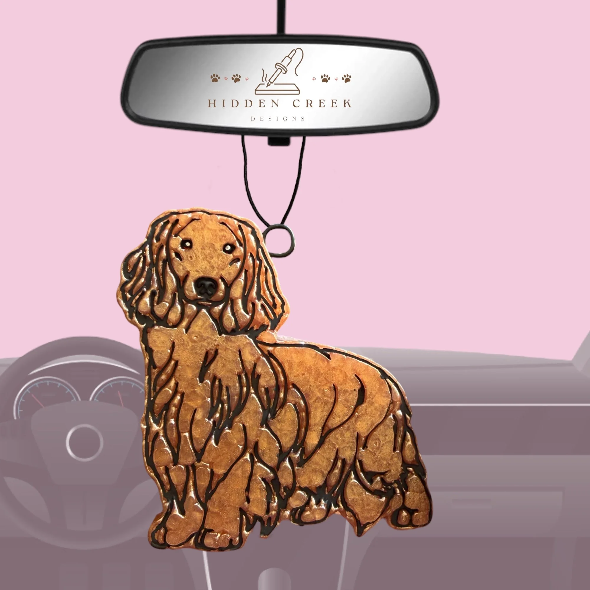 Dachshund - longhair