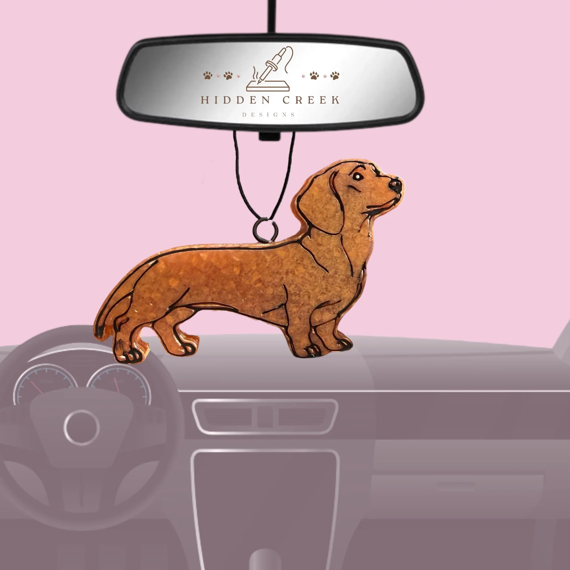 Dachshund - shorthair
