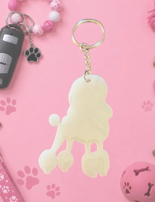 Poodle, continental cut