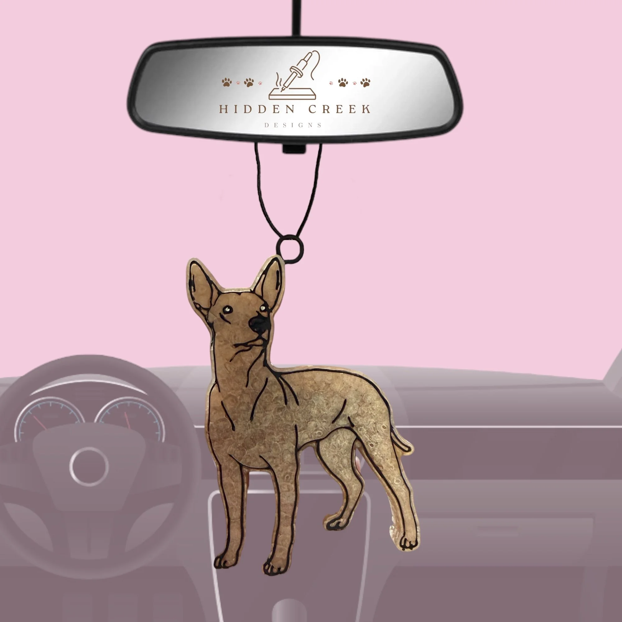 Xoloitzcuintli