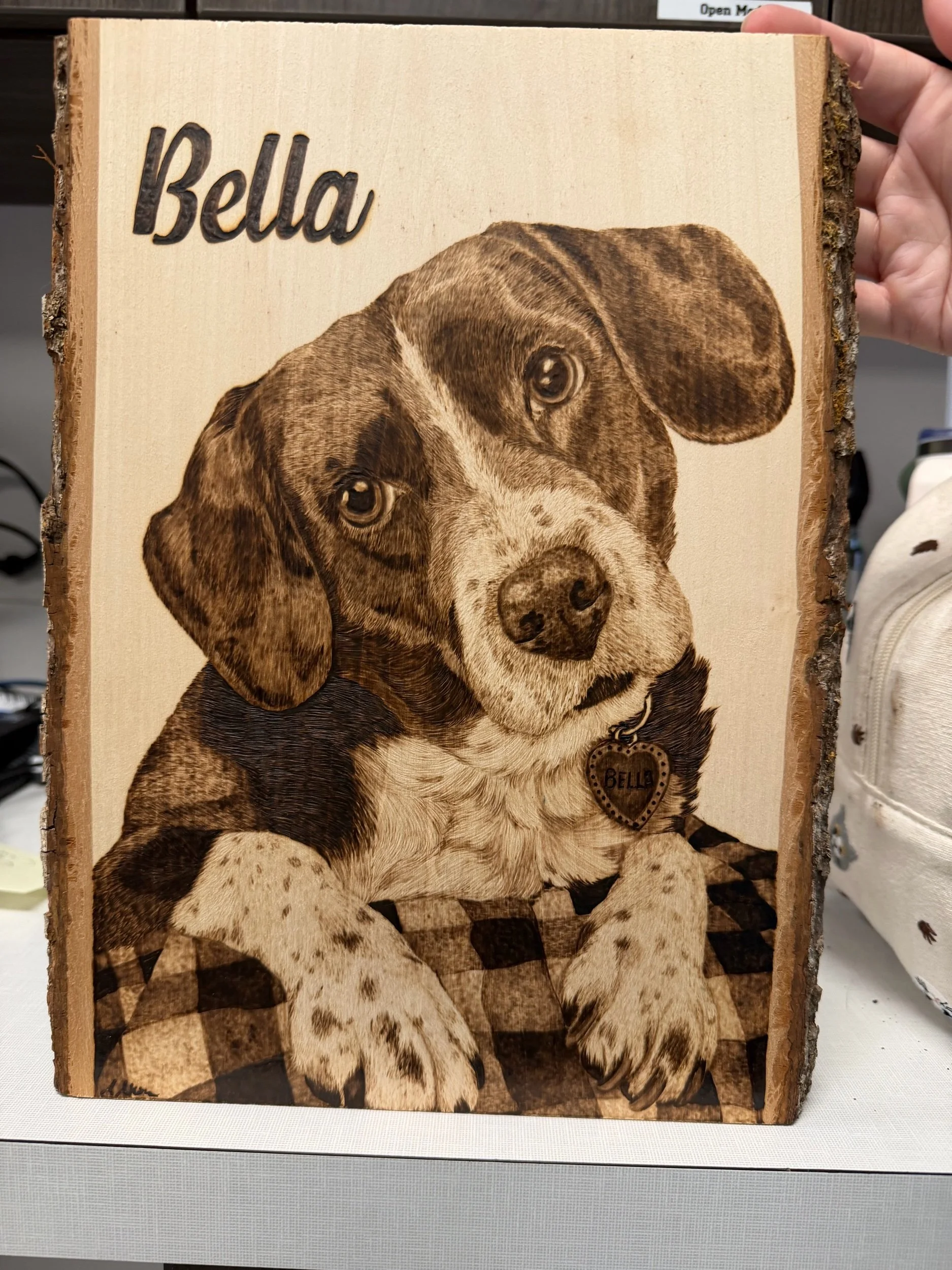 Live edge bark woodburning portraits