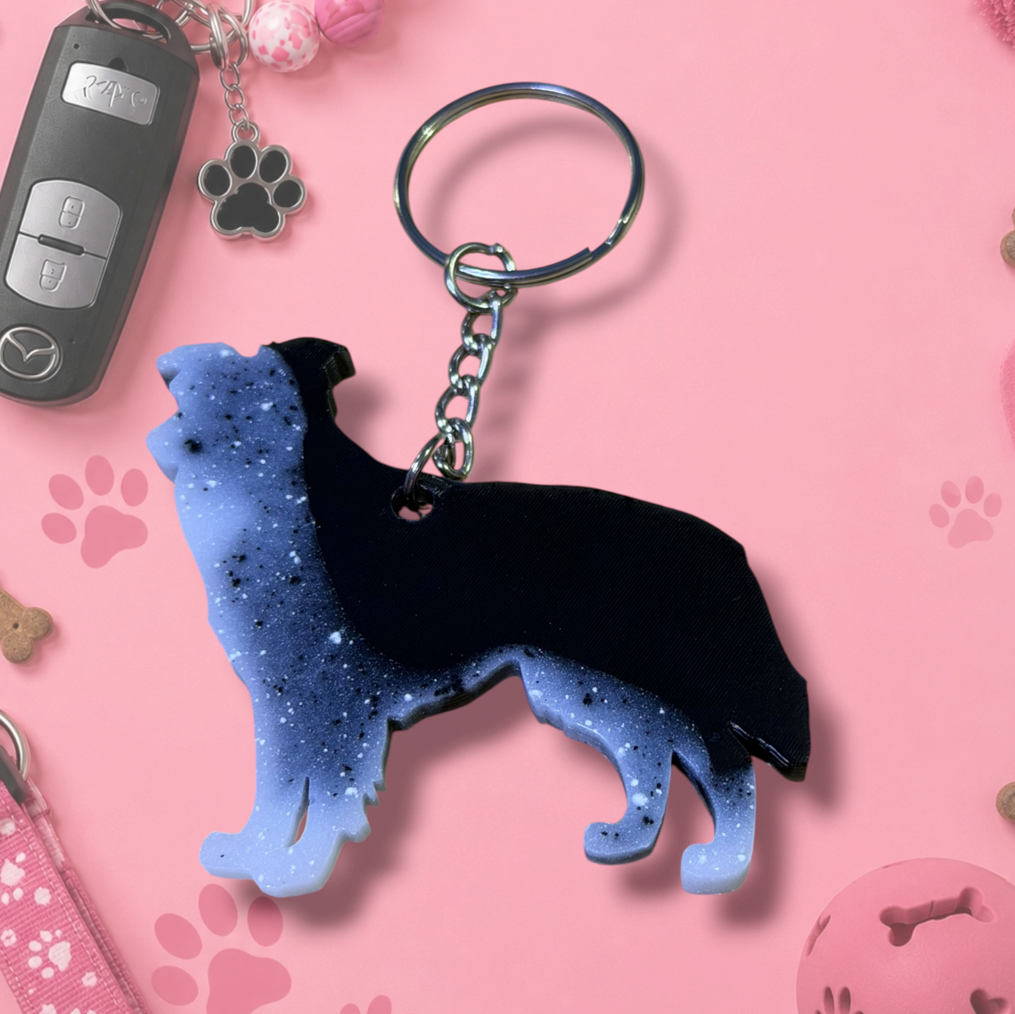 Border Collie