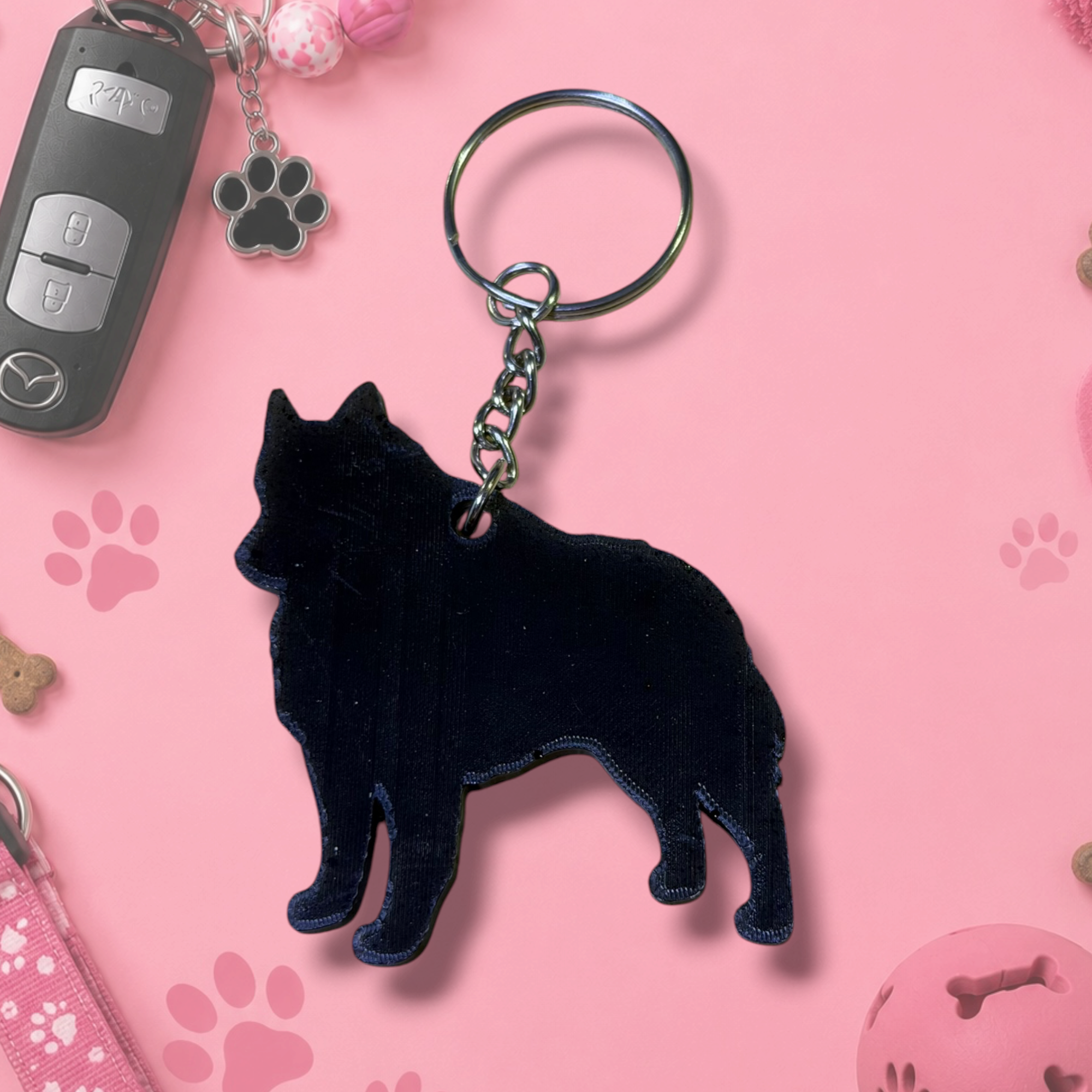 Schipperke