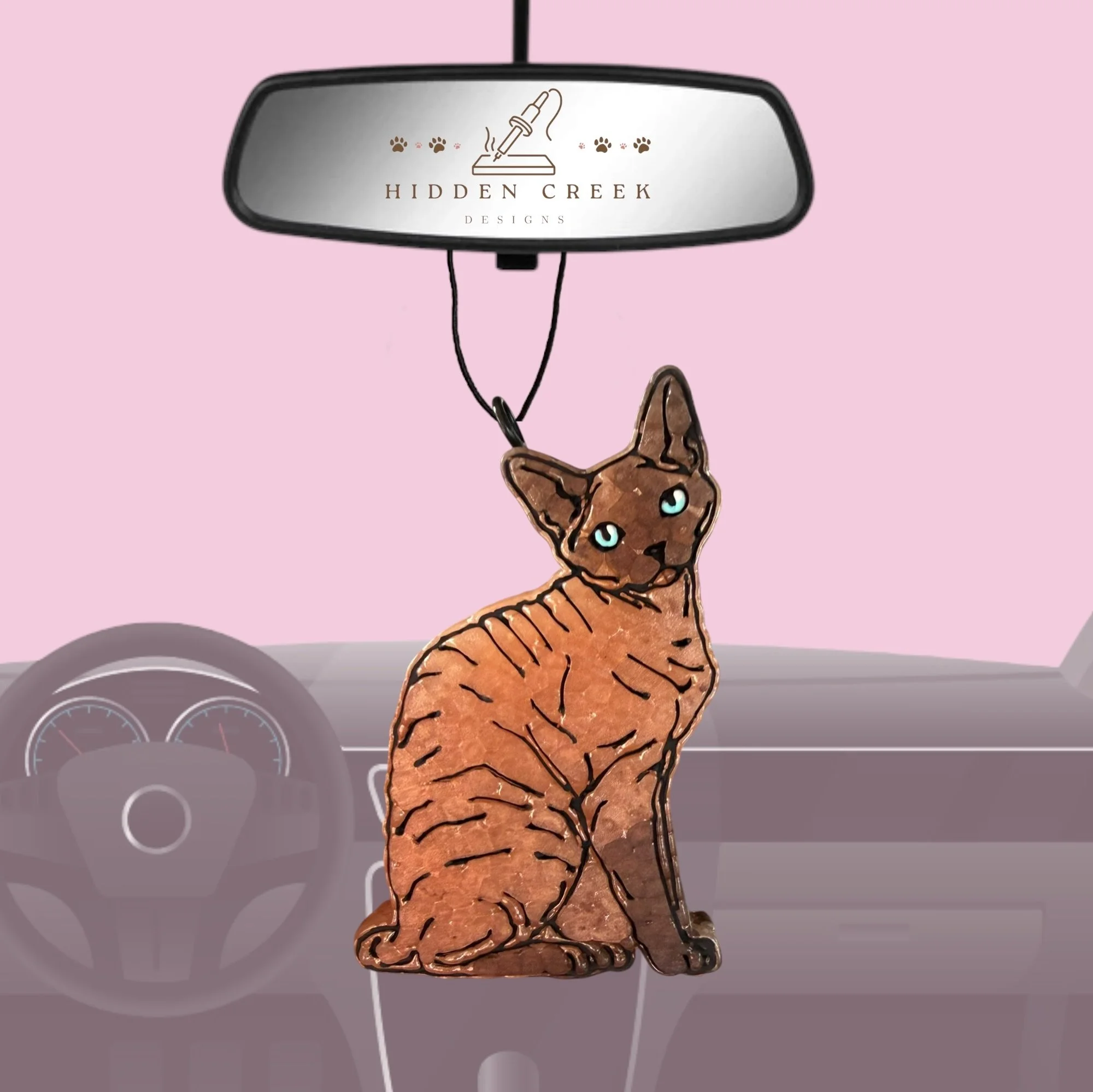 Devon Rex cat