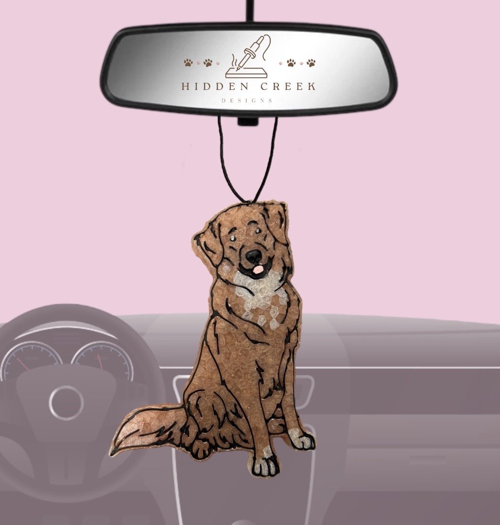 Nova scotia duck tolling retriever, Toller