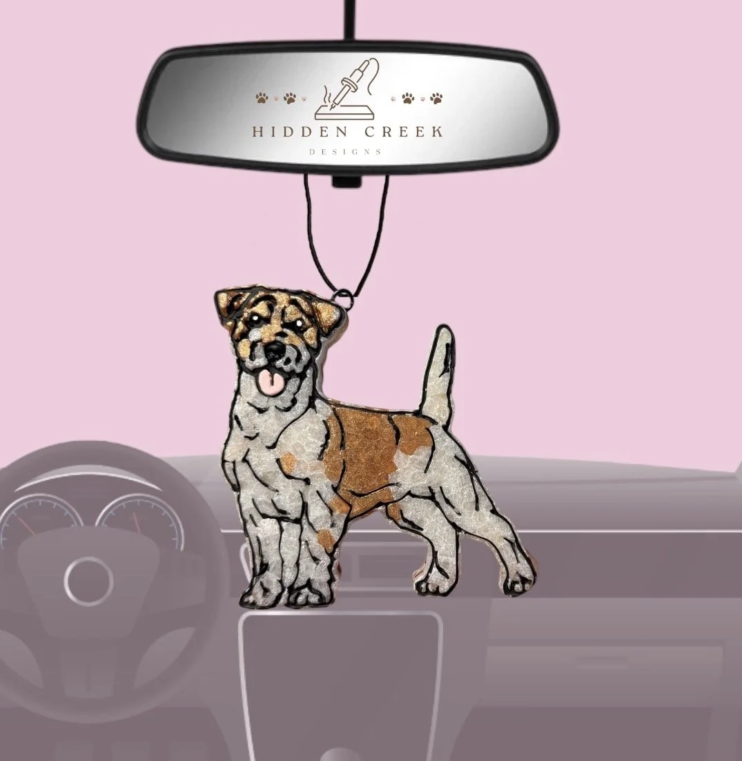 Jack Russel Terrier / Parsons terrier