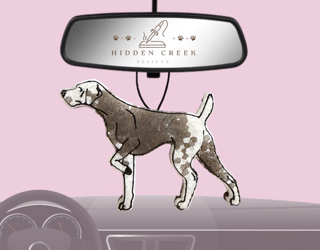 German shorthair pointer