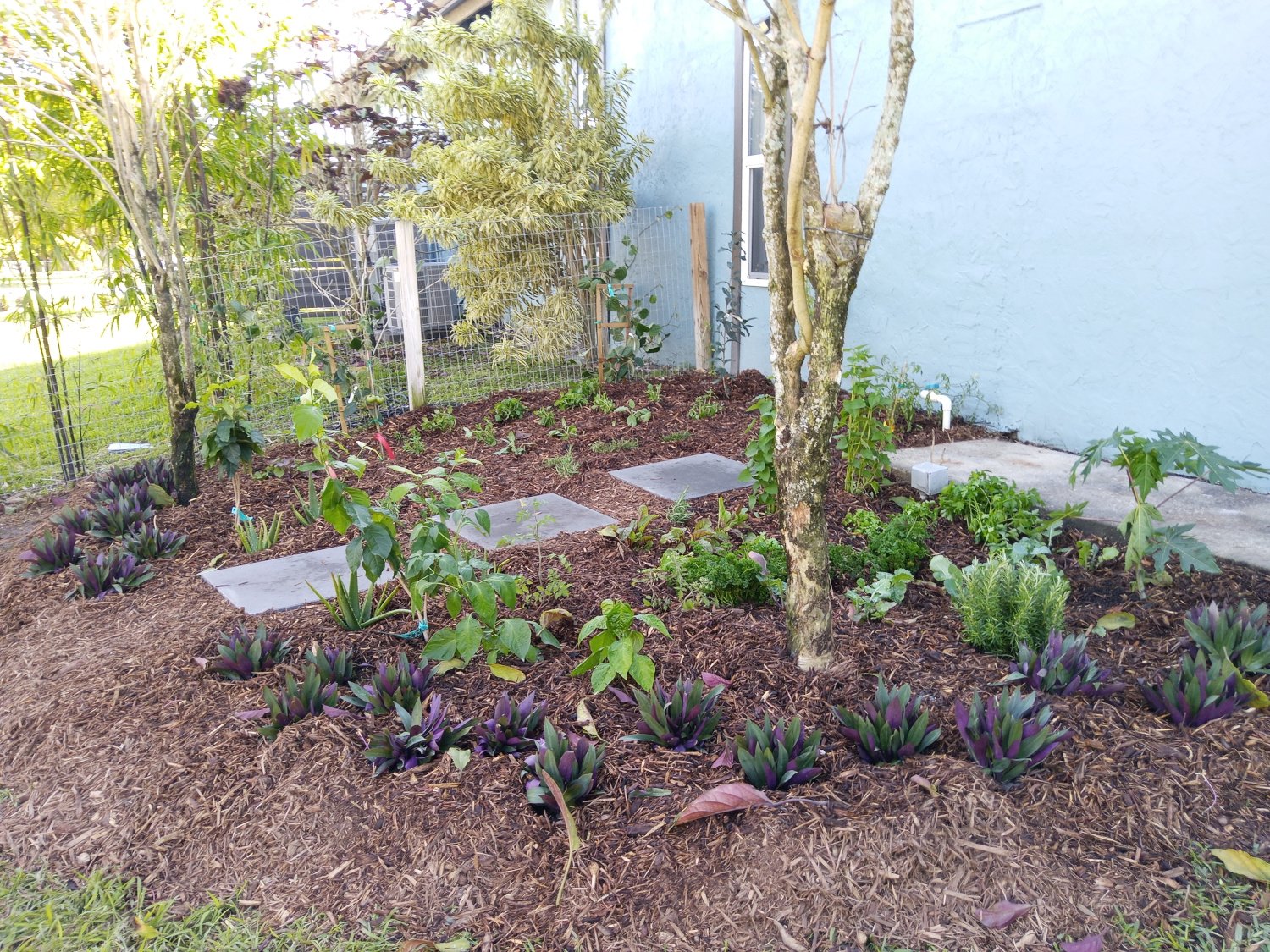 Herb Garden.jpg