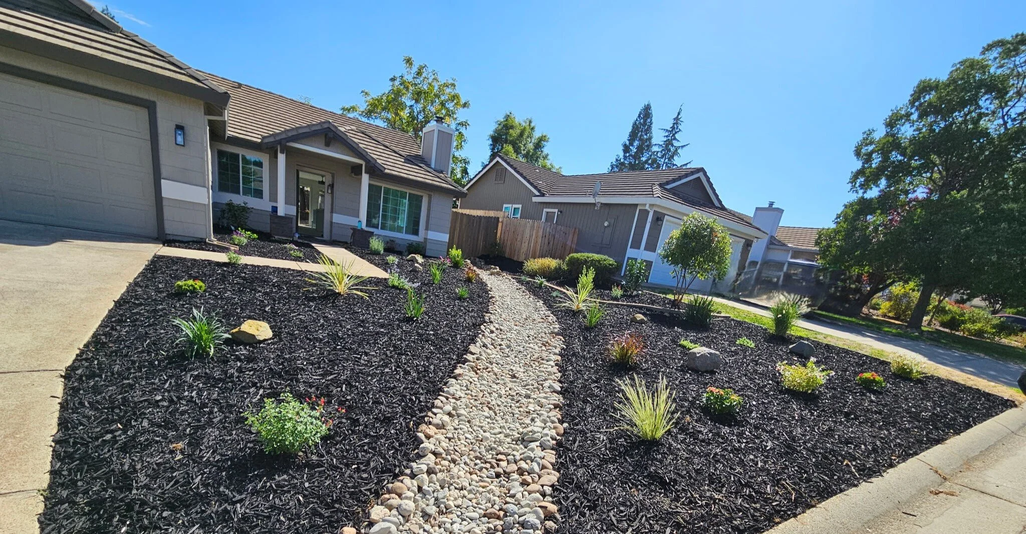 Front yard with a pebble pathway and landscaped drought resistant with small plants and mulch, in front of a house with a stone and siding exterior, on a sunny day.