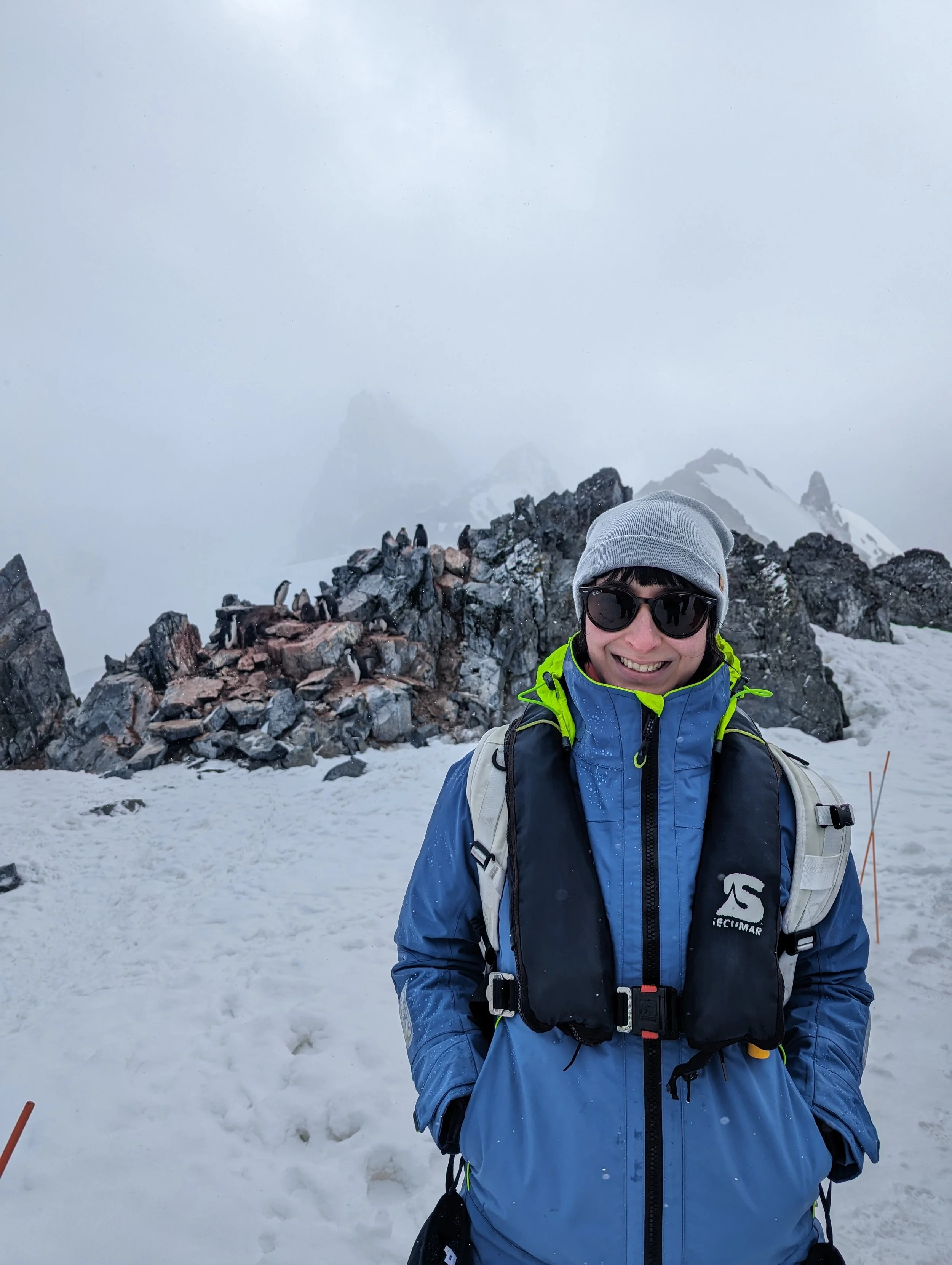 Person smiling in winter gear on snowy mountain summit with penguins atop a rocky ridge and misty peaks in the background.