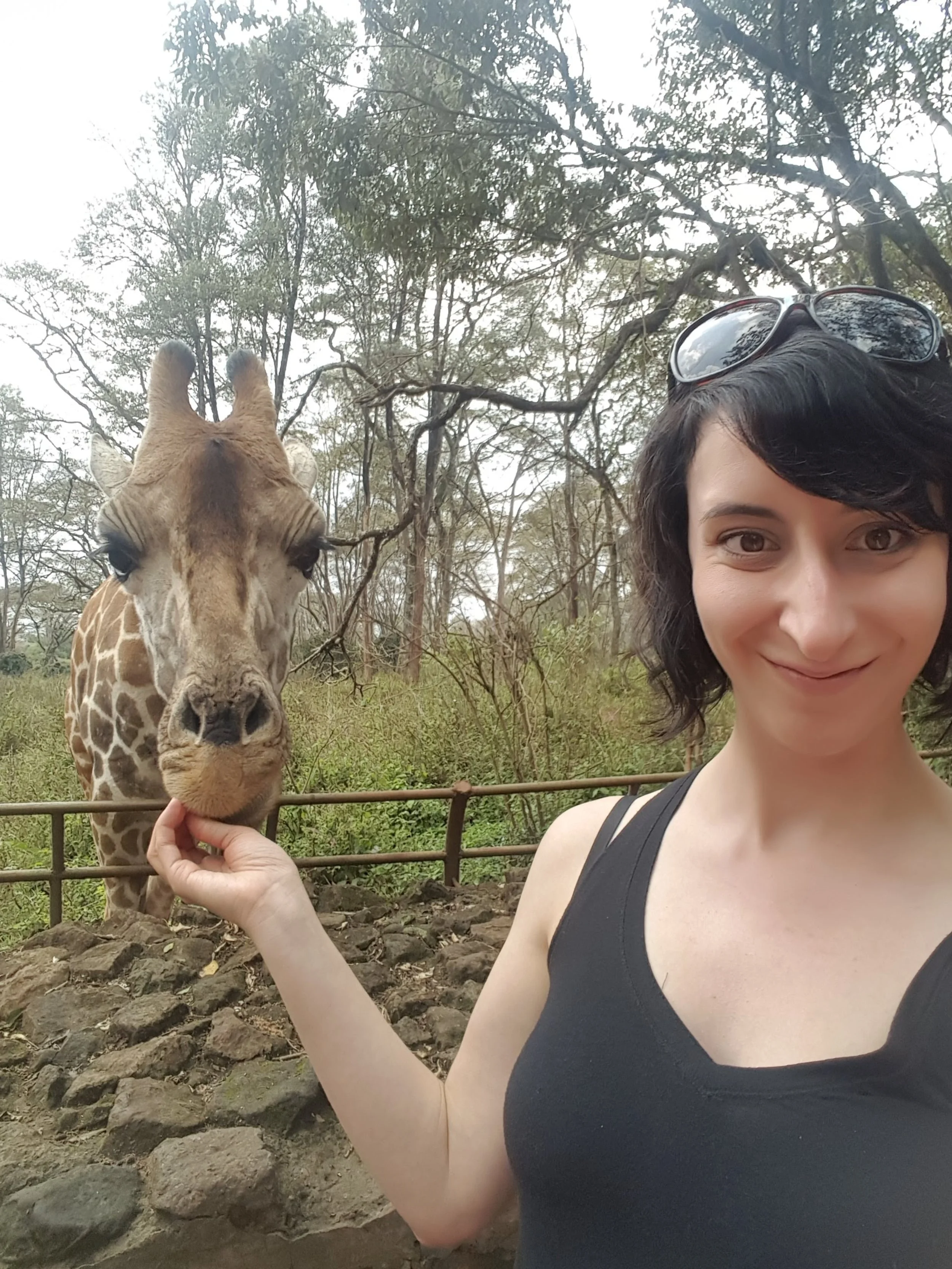 A woman smiling and wearing sunglasses on her head, hand-feeding a giraffe at a giraffe sanctuary with trees and bushes in the background.