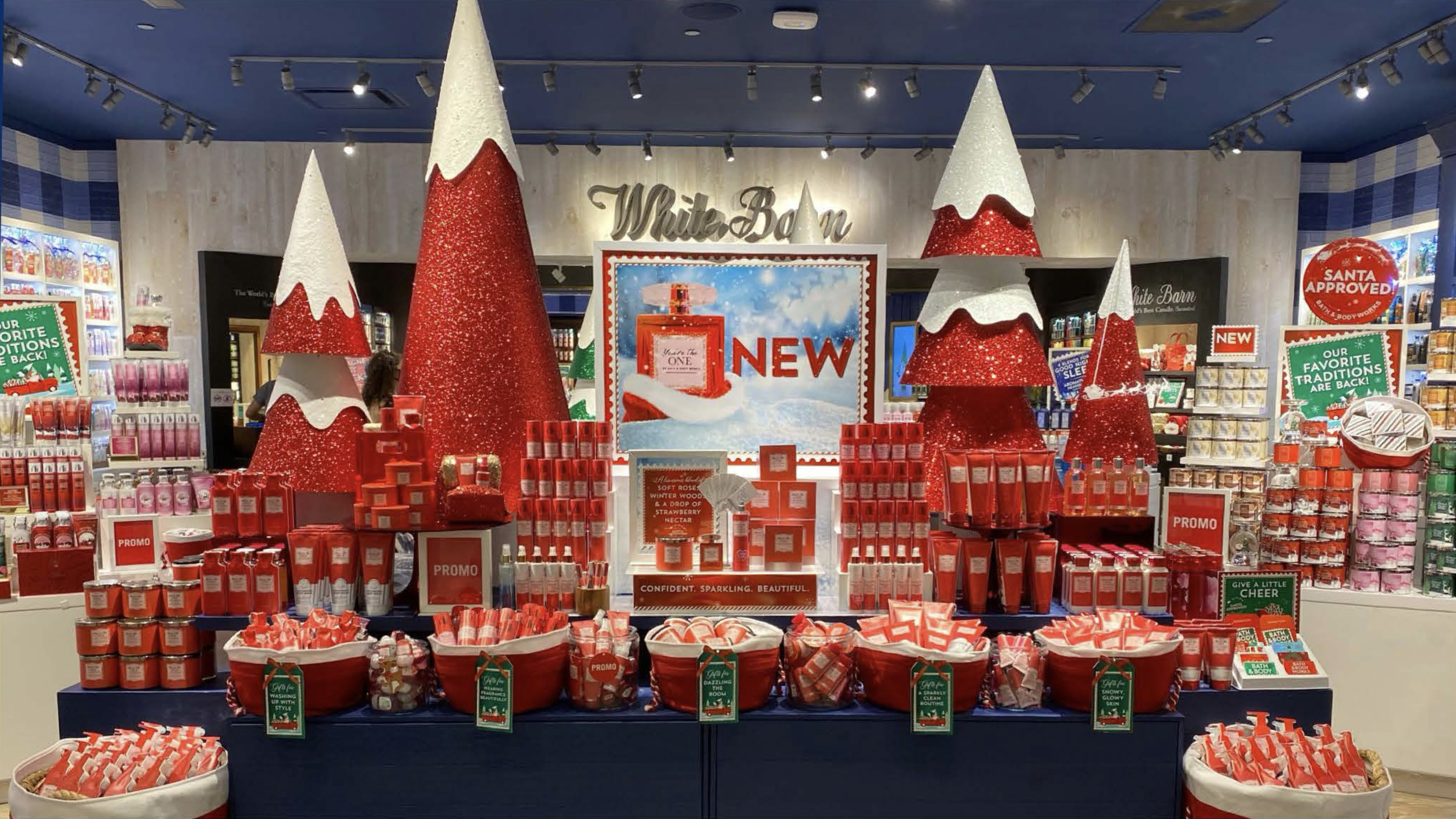 Screenshot 2025-07-19 at 10.10.30 AM.png