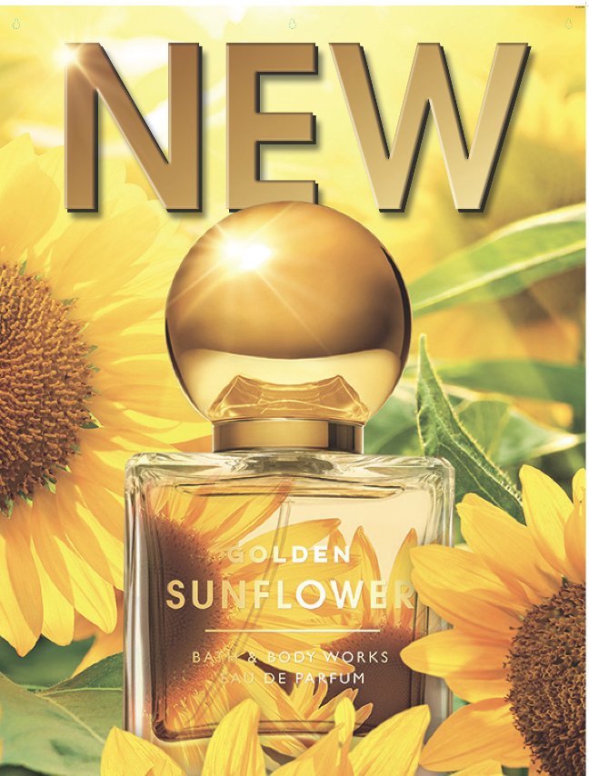 Screenshot 2025-07-19 at 10.06.35 AM.png