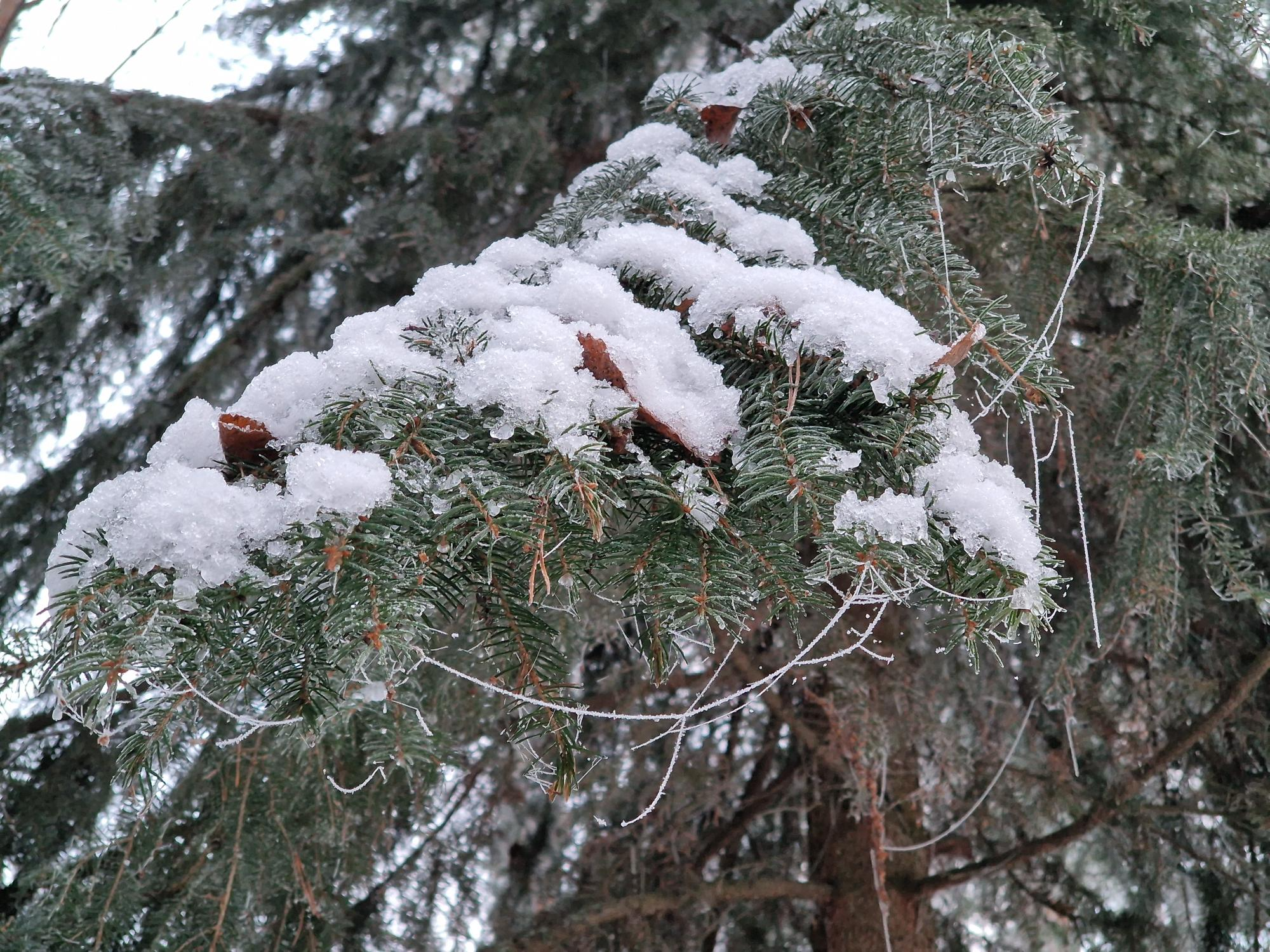 Syksyn aivotreeni ja palautumisen merkitys