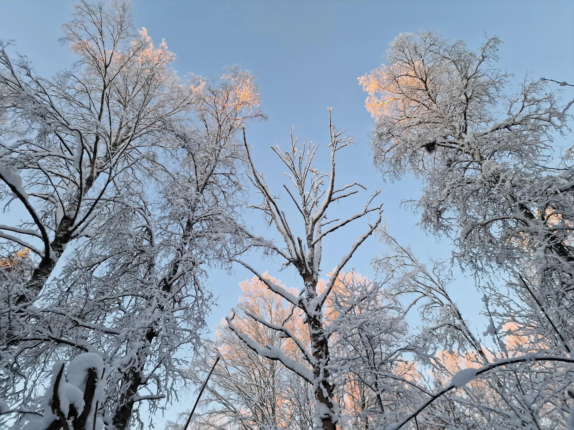 Mistä hyvinvointia uuteen vuoteen?