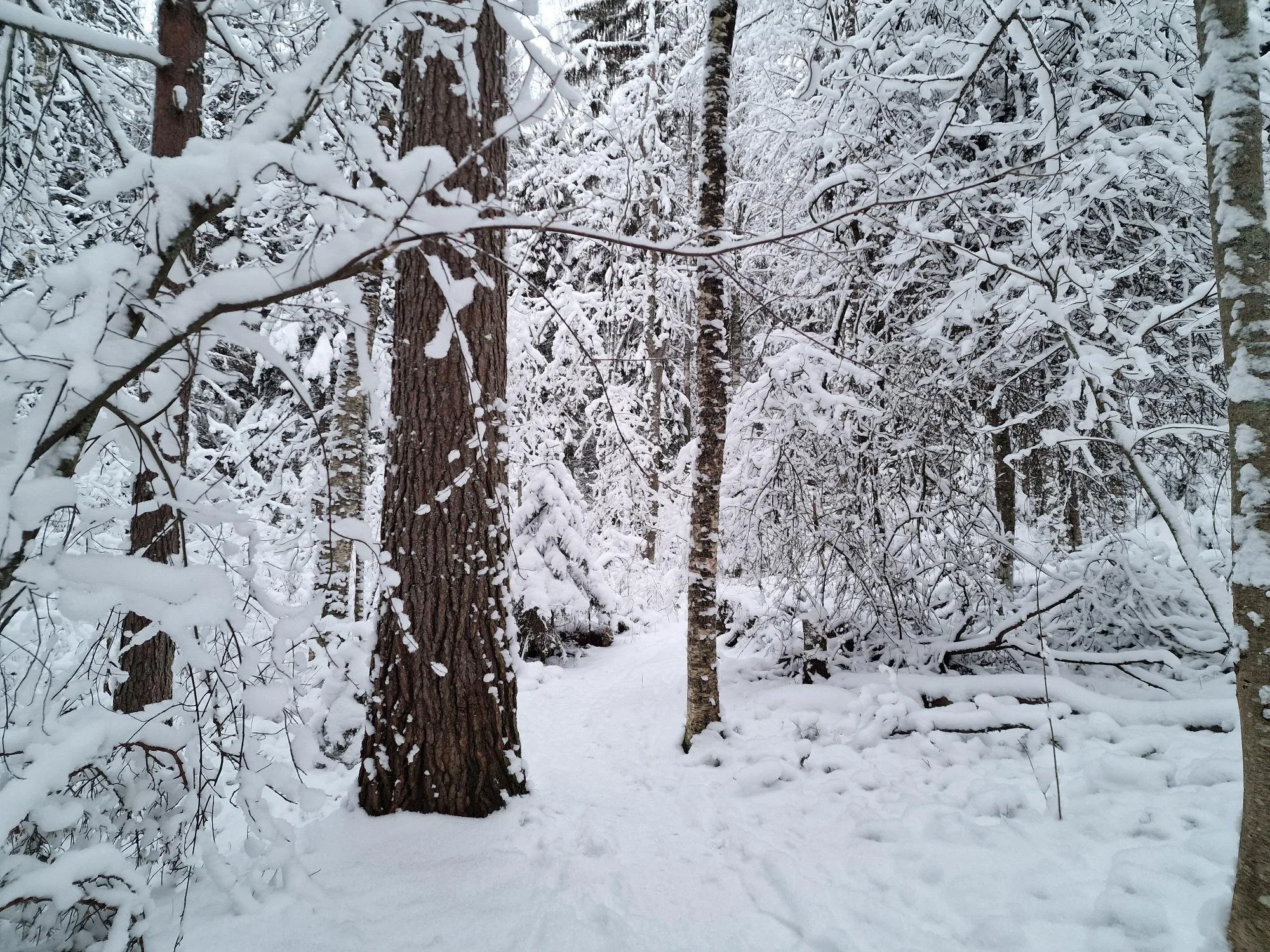 Tunteiden säätely -tärkeä arjen taito