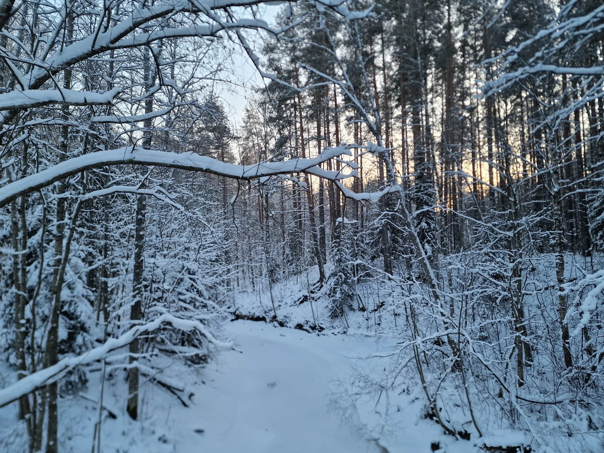 Mitä eroa on lyhytterapialla, lyhytpsykoterapialla ja psykoterapialla?