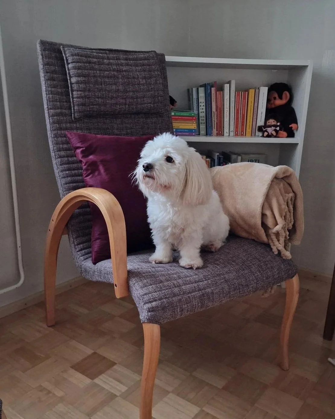 Onko ongelmani ”riittävän iso” terapiaan? – Miksi avun hakemista ei kannata viivyttää?