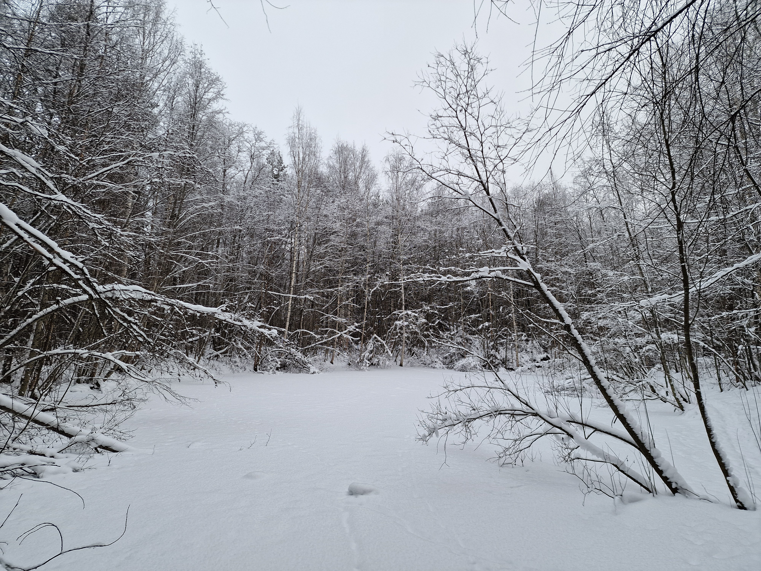 Mitä jos valo ei näyttäydy?