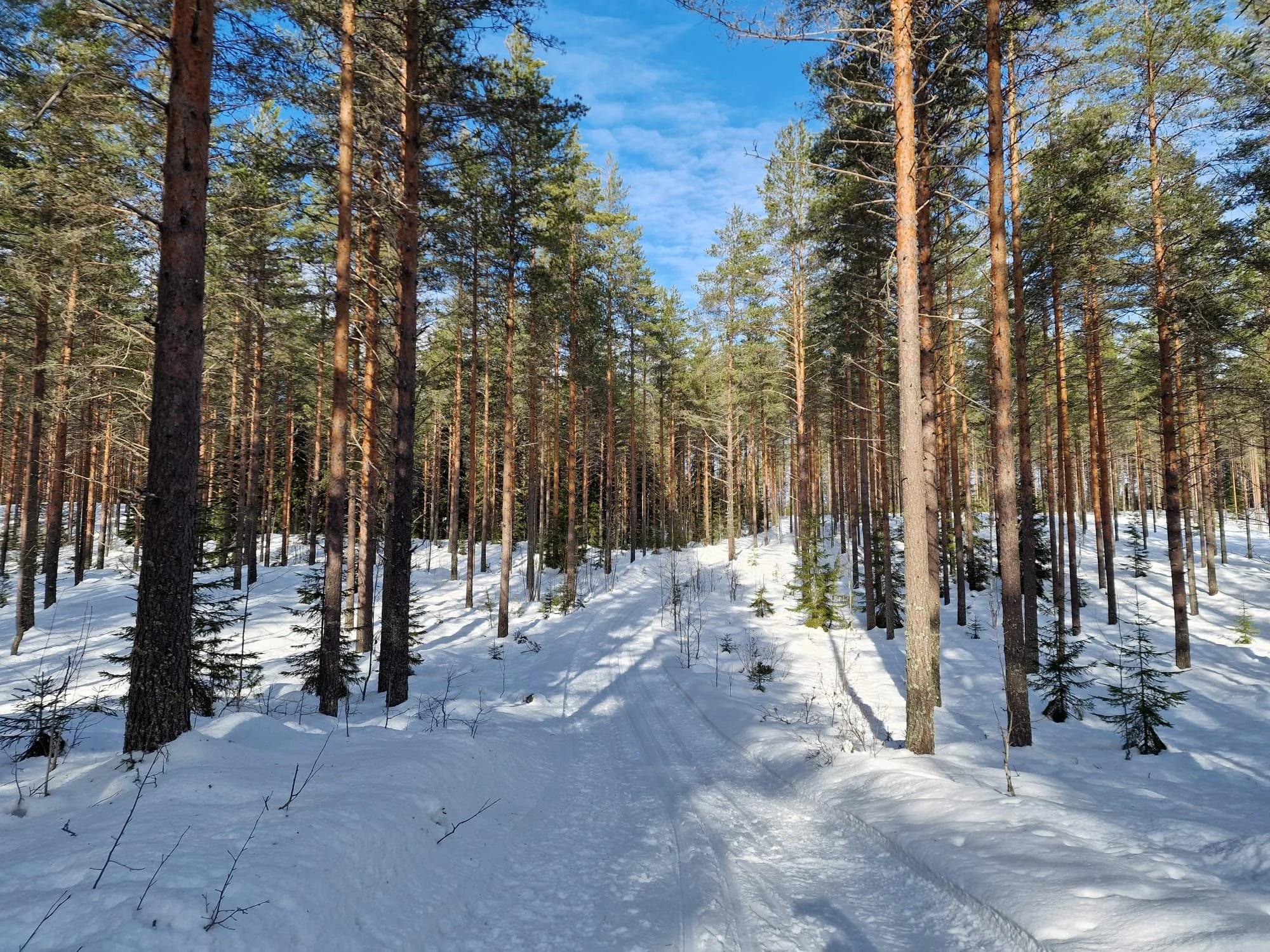 Mielen rauhaa hiihtoretkellä