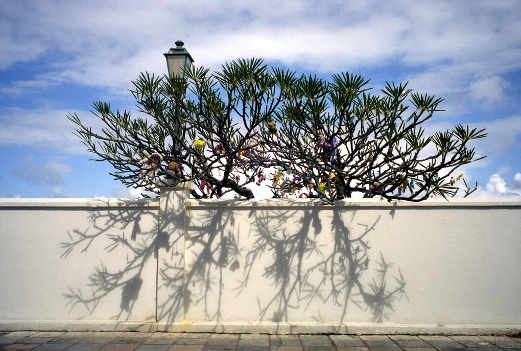 San Juan, Puerto Rico 2007 