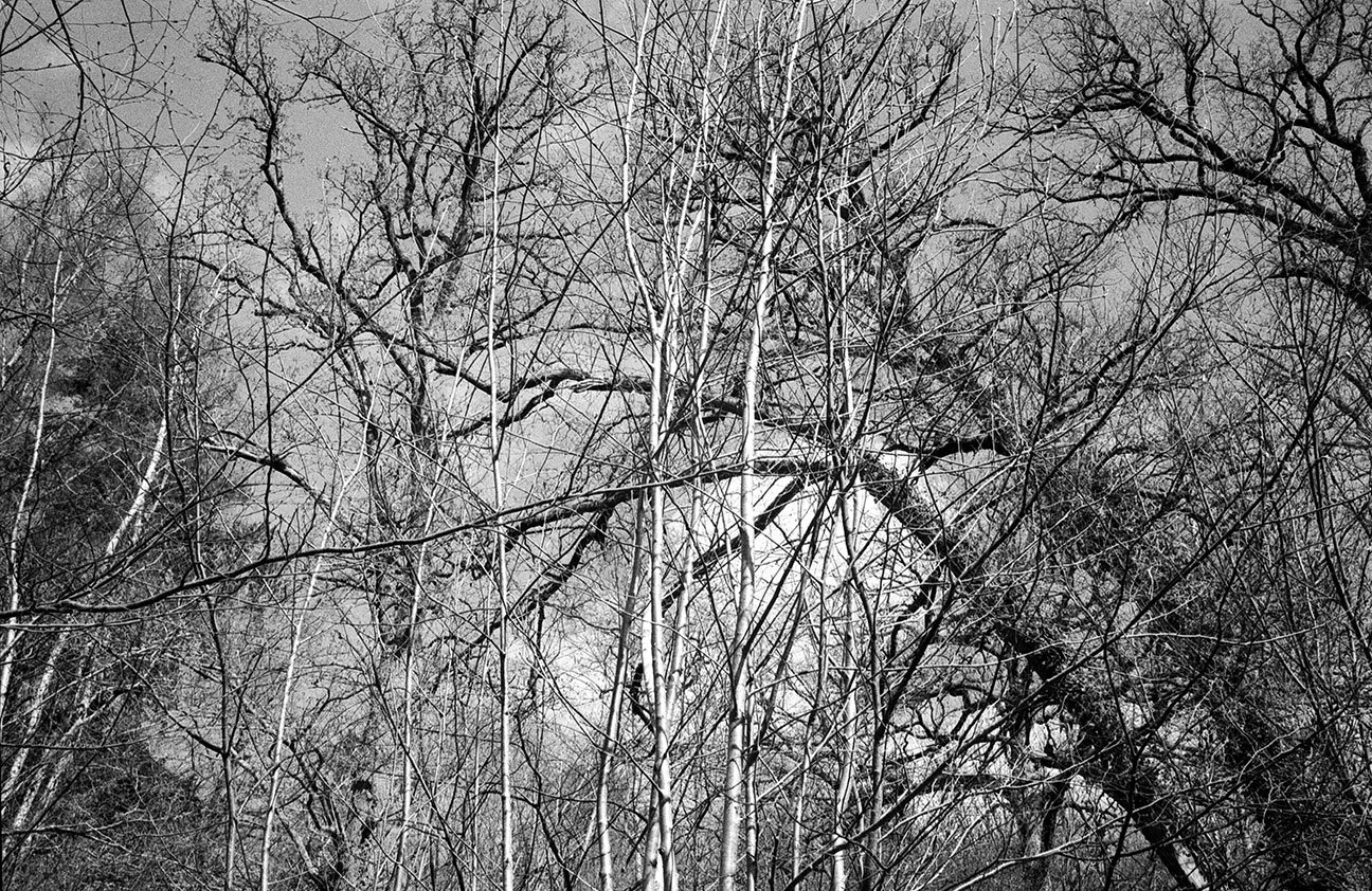 I see it that way; Vaux de Cernay, France, 2025 - Printed 2026