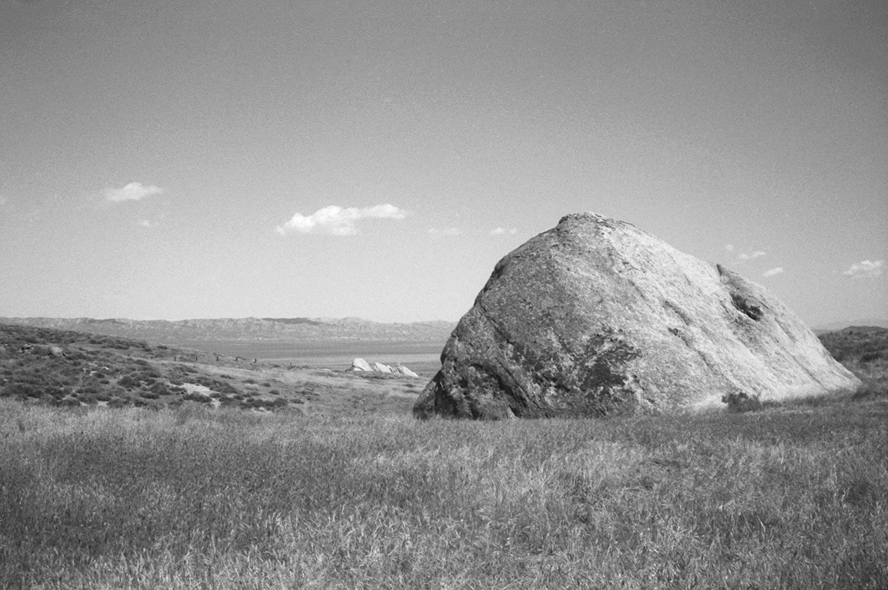 Holding; Carrizo, California, 2020 - Printed 2026