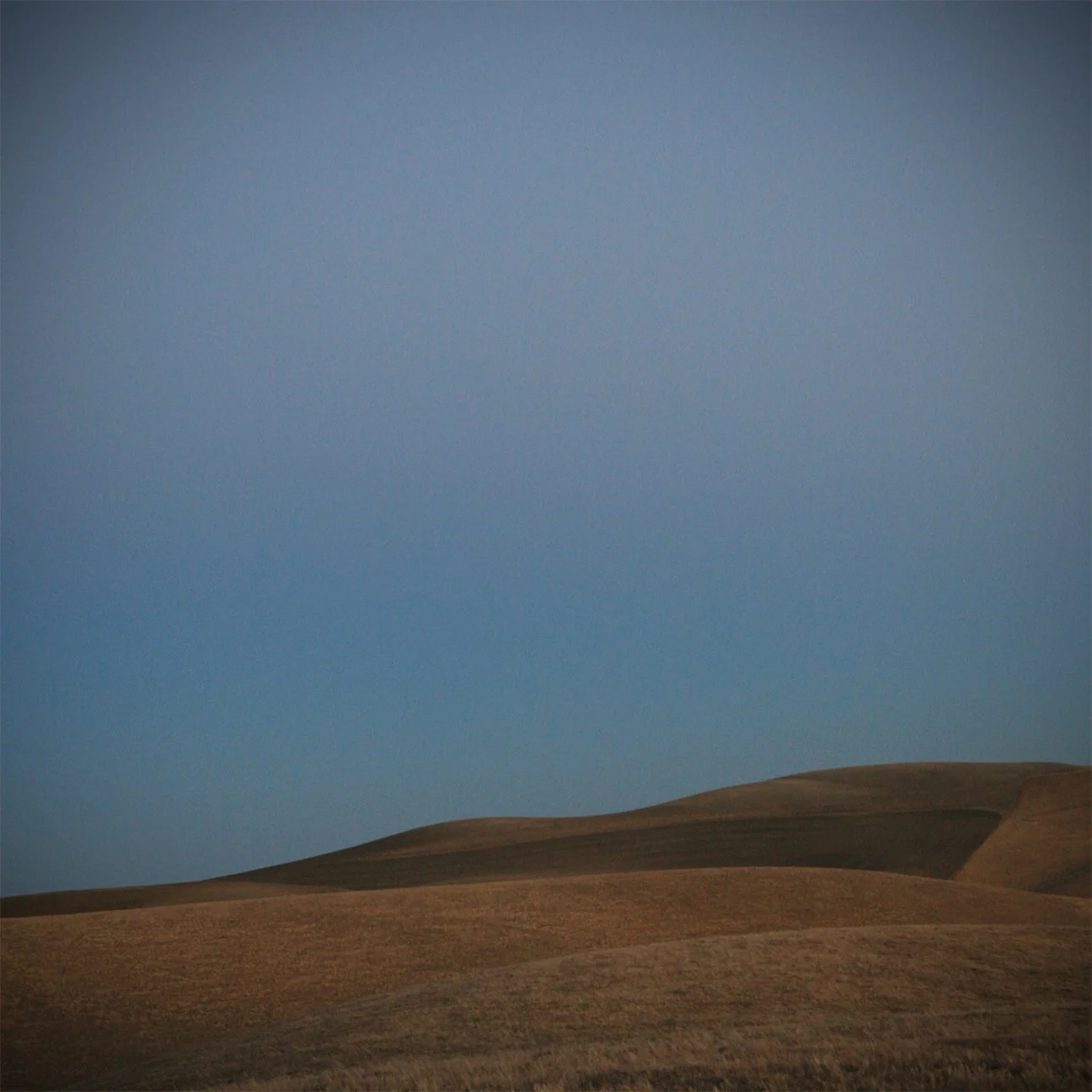 Paso Robles, California 2014 #2
