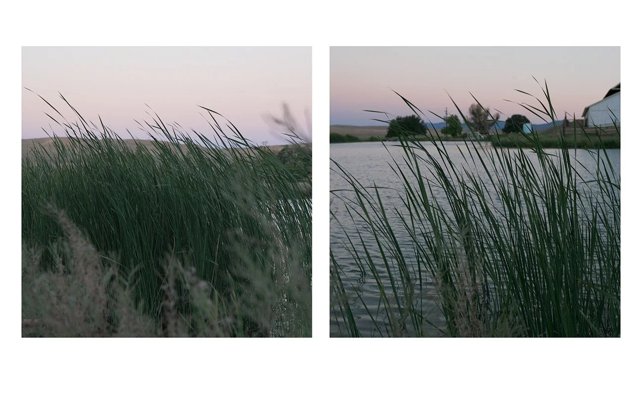 Paso Robles, California 2014 