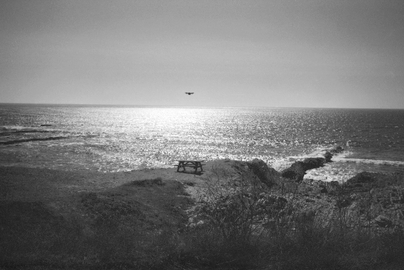 I dreamt of you #2; Montaña de Oro, California, 2021 - Printed 2026
