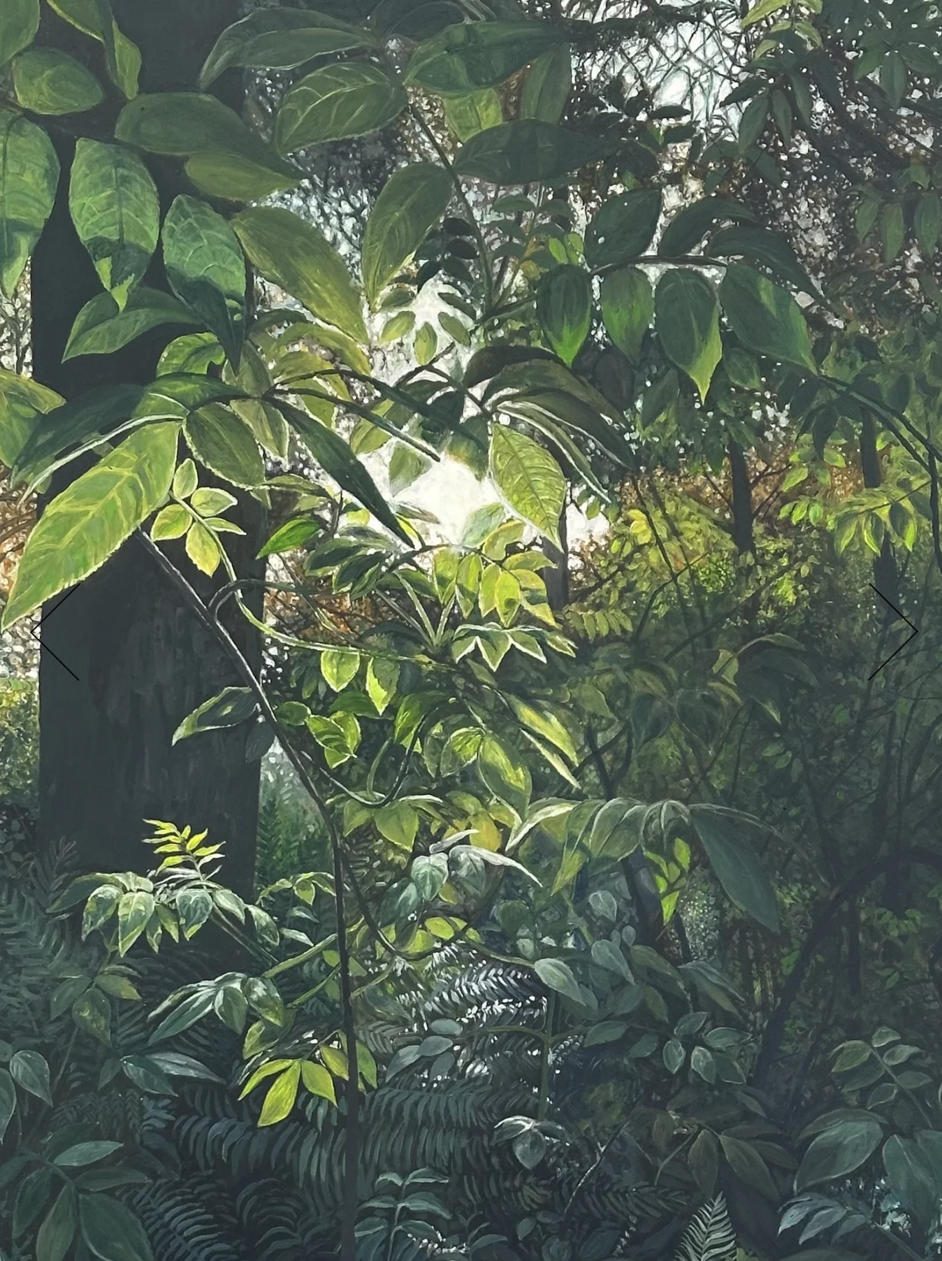 Lush green tropical rainforest with various dense leafy trees and plants, sunlight filtering through the canopy.