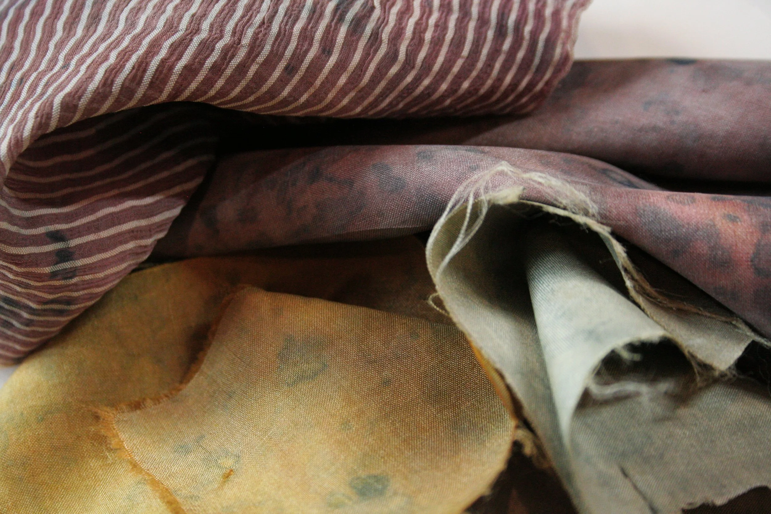 Oignon et indigo sur soie