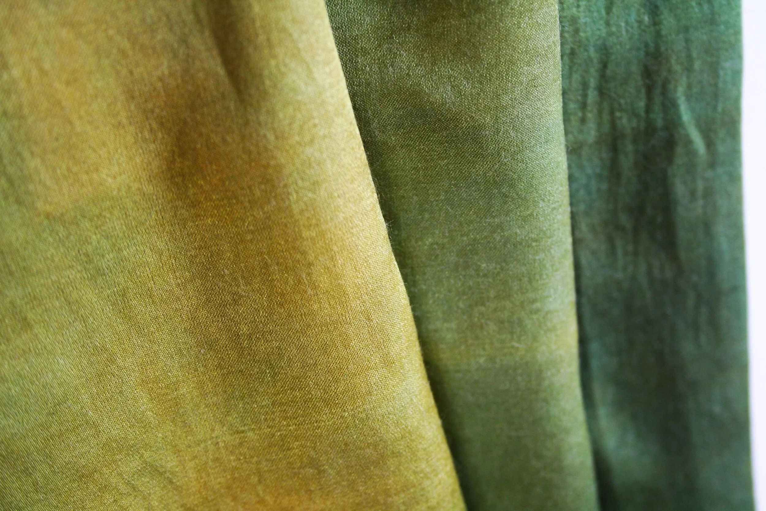 Oignon et indigo sur soie