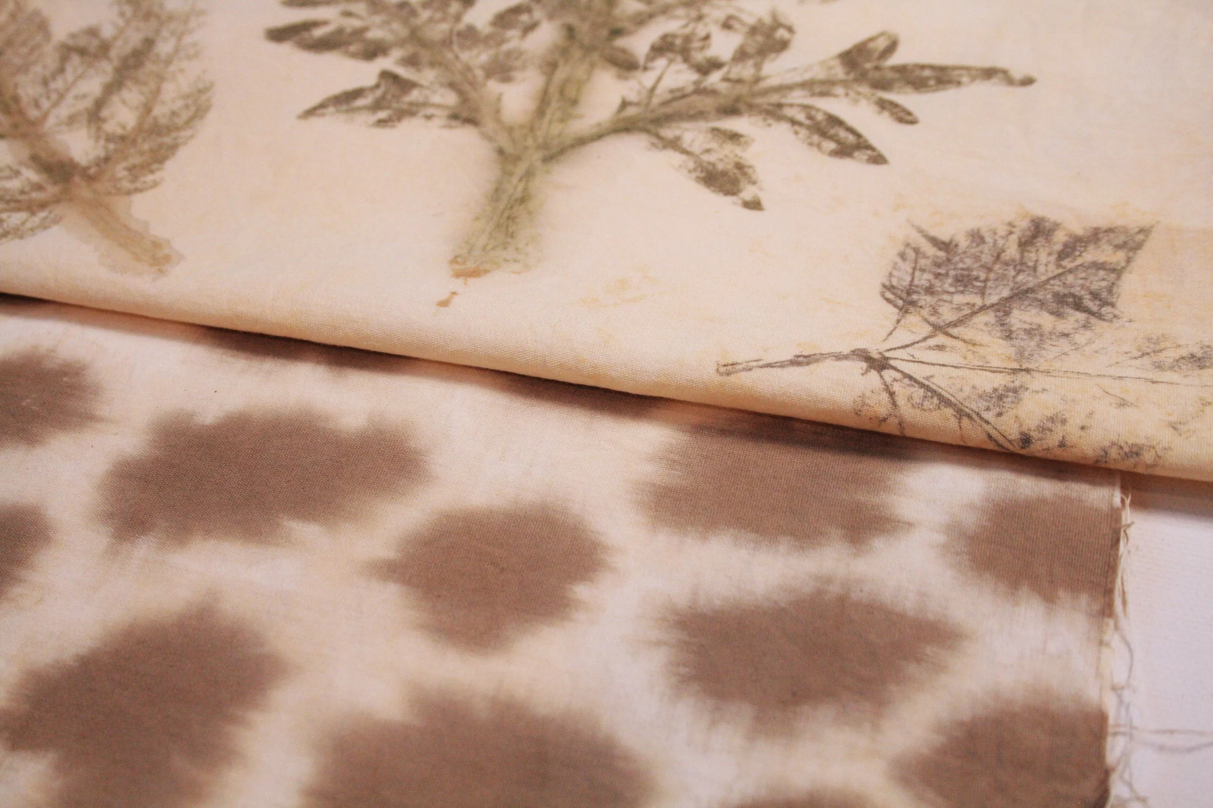 Expérimentation avec le tanin