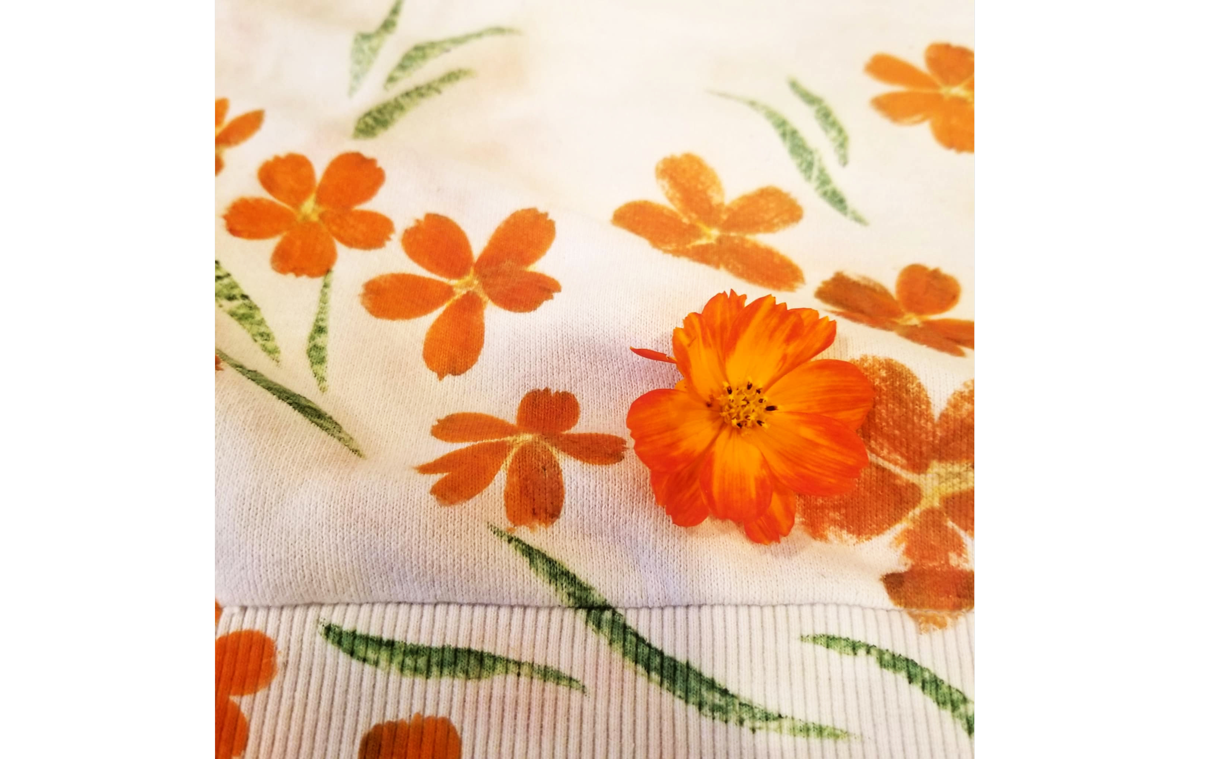 Impression de cosmos et indigo japonais.