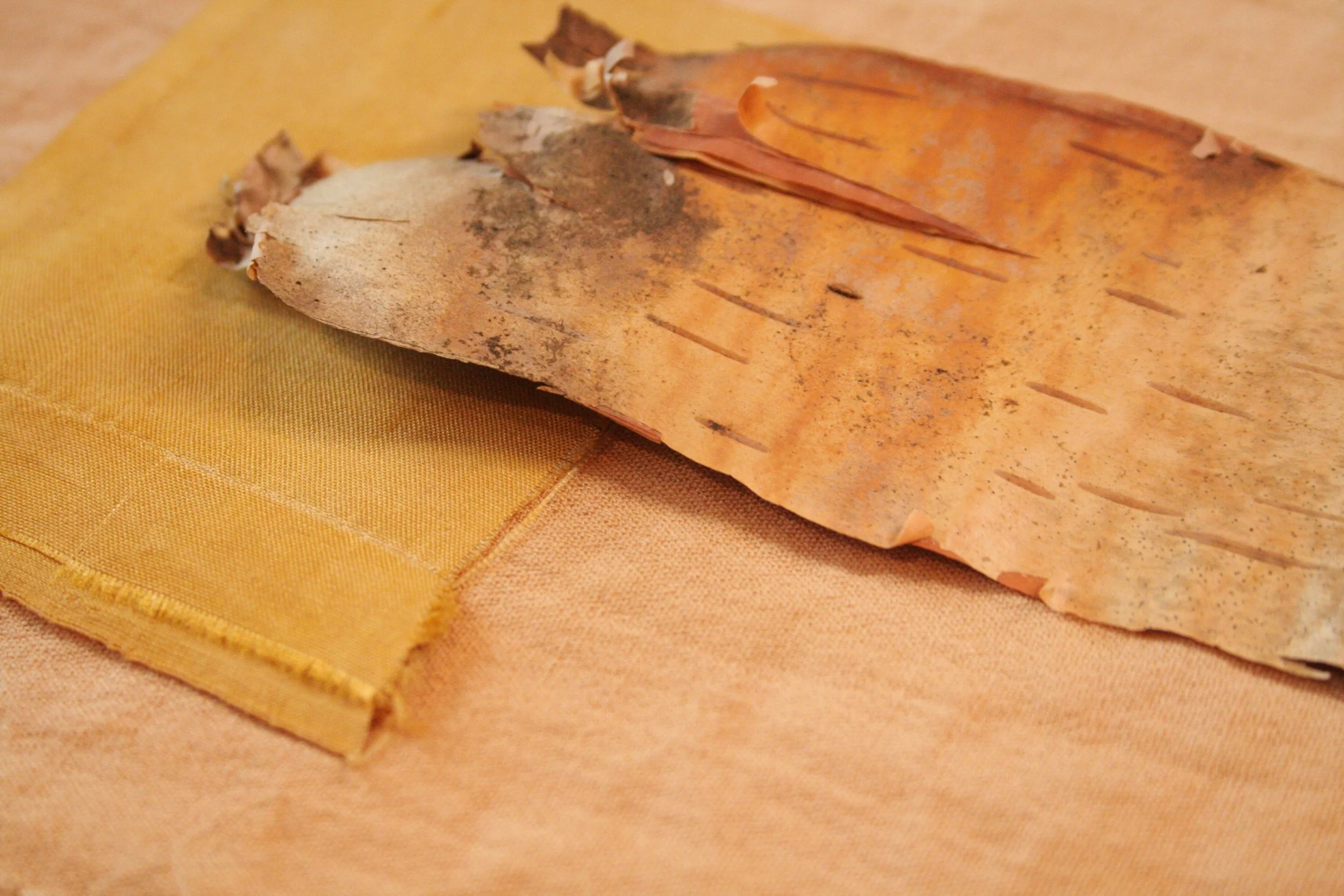 Écorce de bouleau sur lin et soie