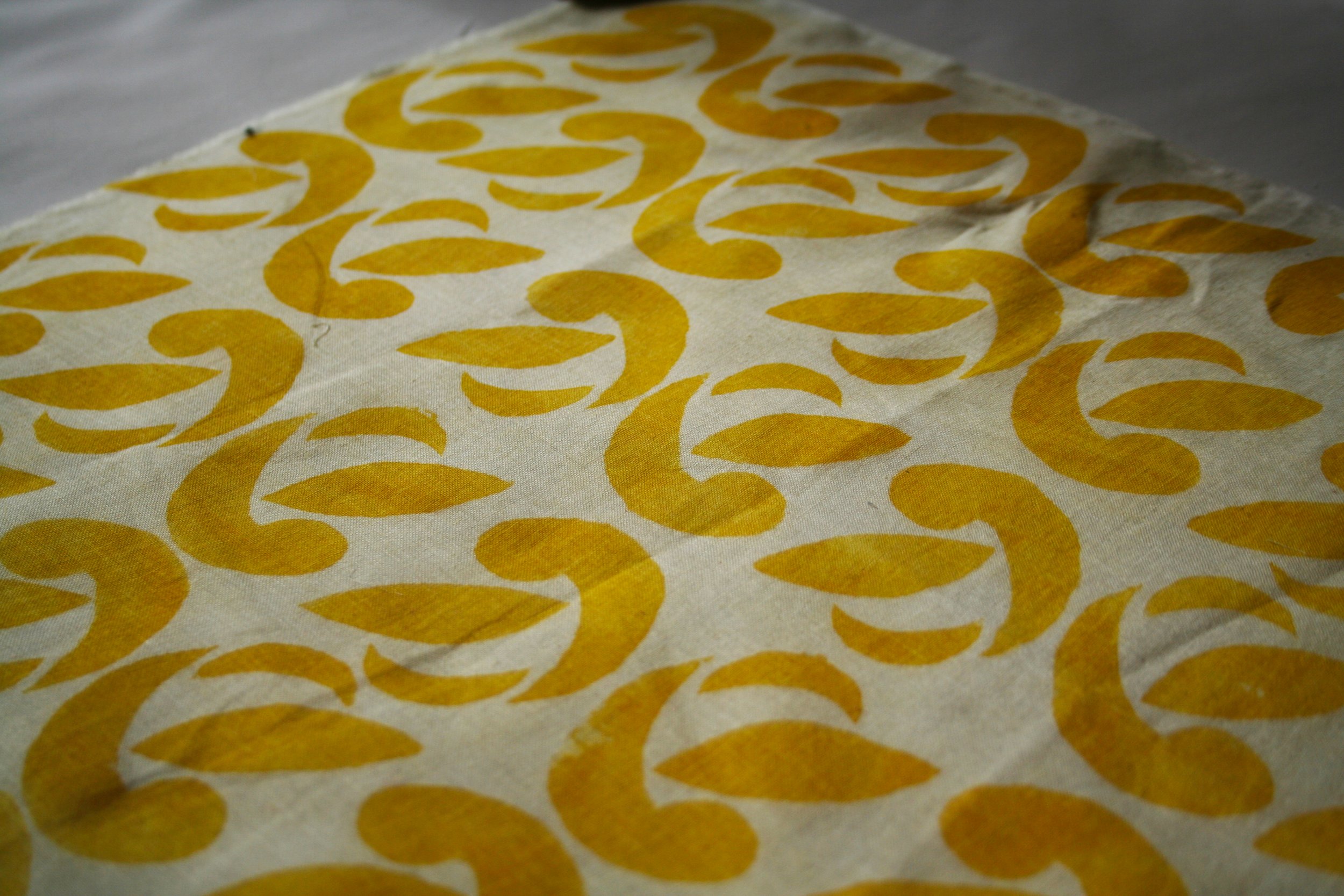 Baies de nerprun sur coton