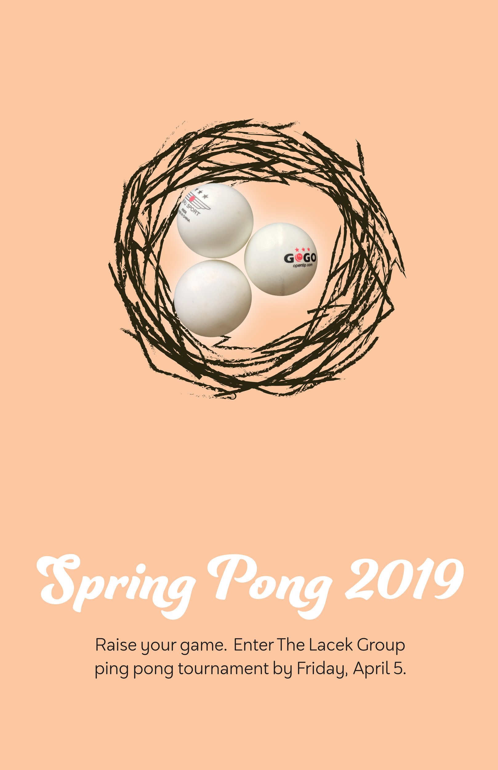 Spring-Pong-nest.jpg