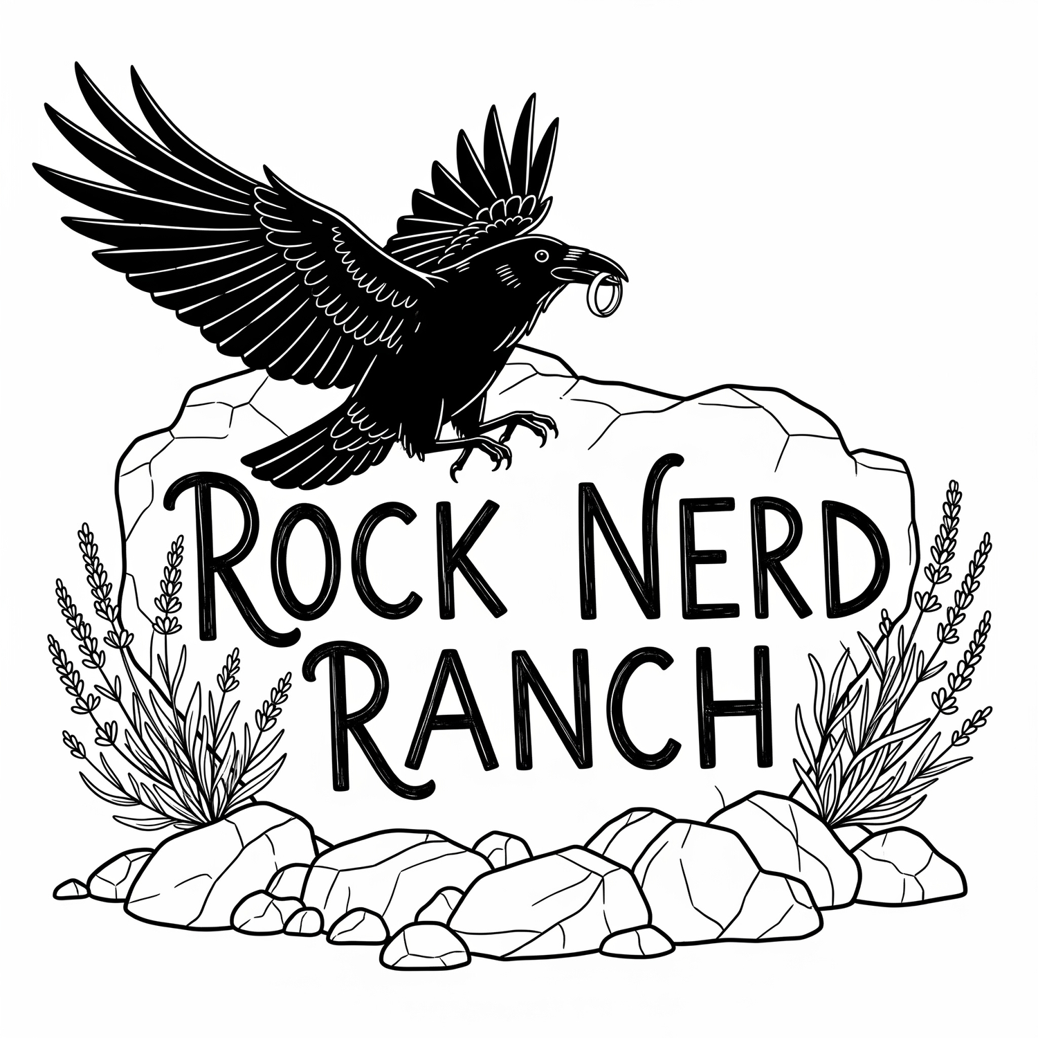Rock Nerd Ranch