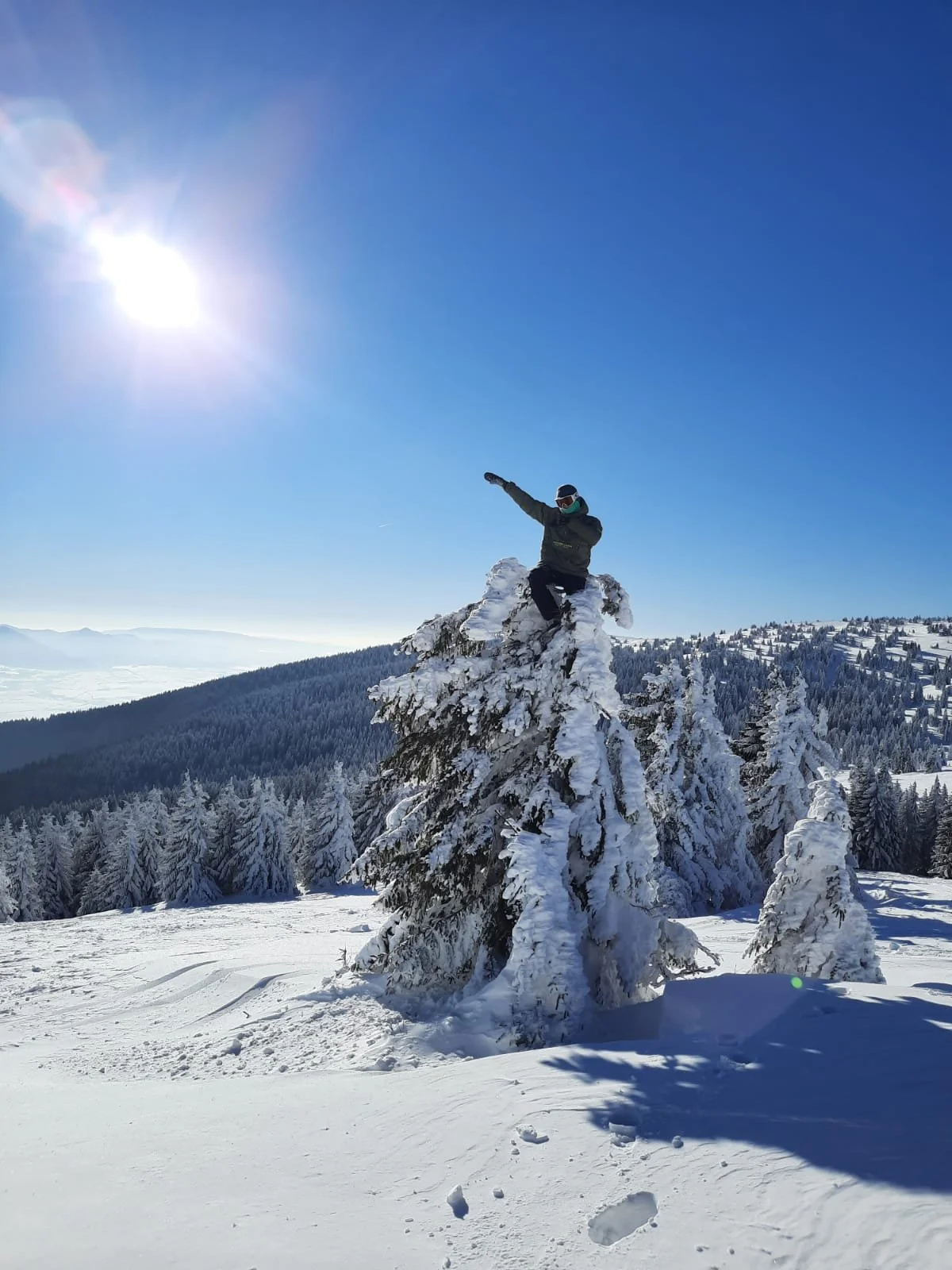 Person standing on top of snow-covered trees on a snowy mountain under a bright, clear blue sky with a high sun.
