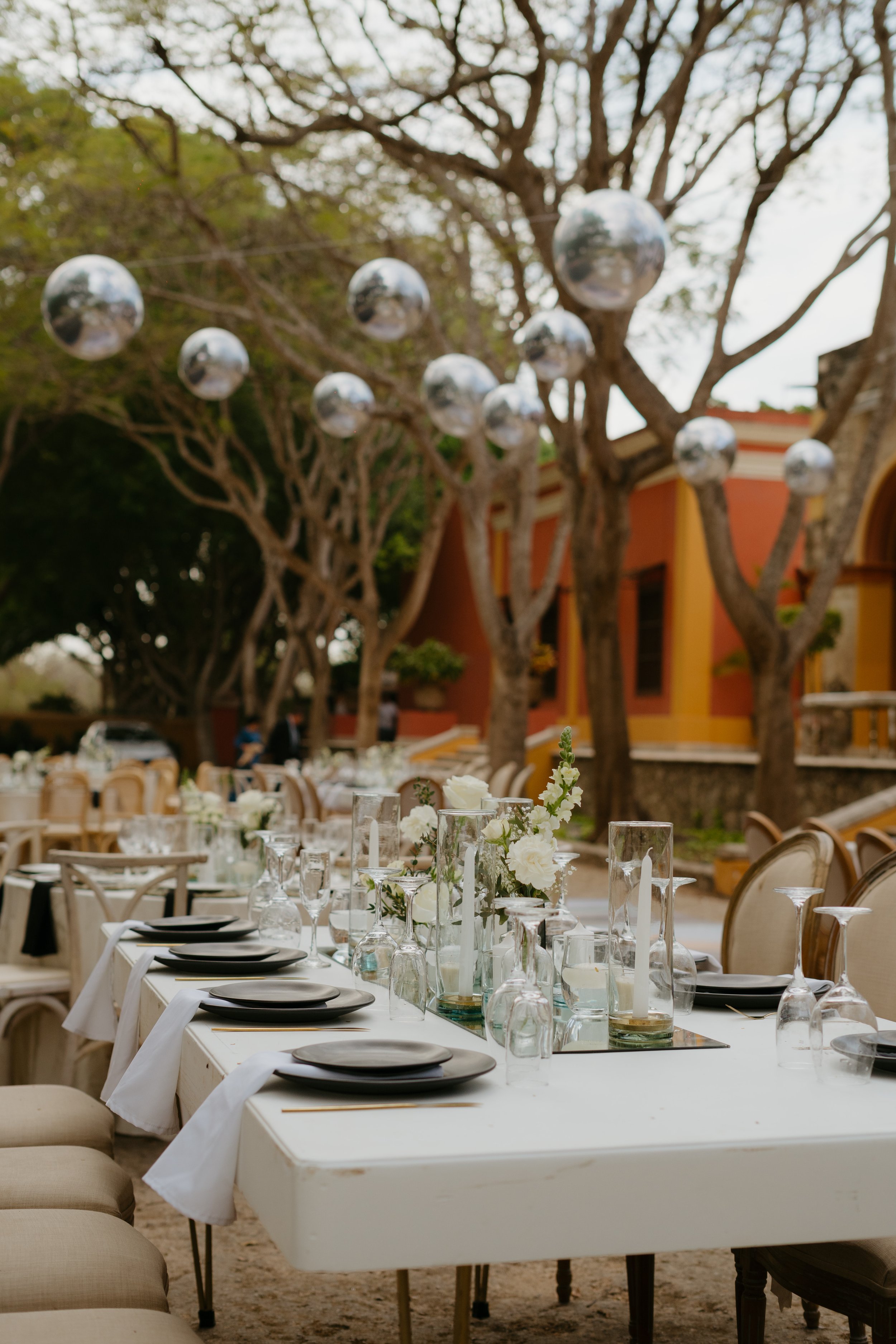 Outdoor dining setup with a long table decorated with flowers, set on a dirt path in a vineyard or garden area, surrounded by trees, vineyard rows, and string lights overhead.