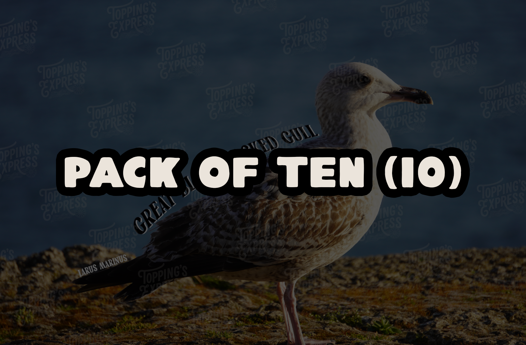 TEGreat TenPack.png