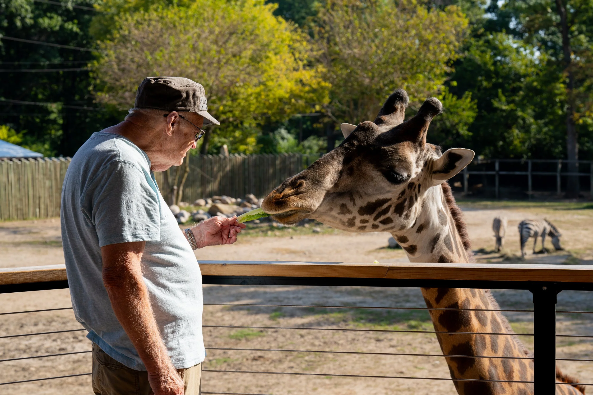 Zoo-16.jpg