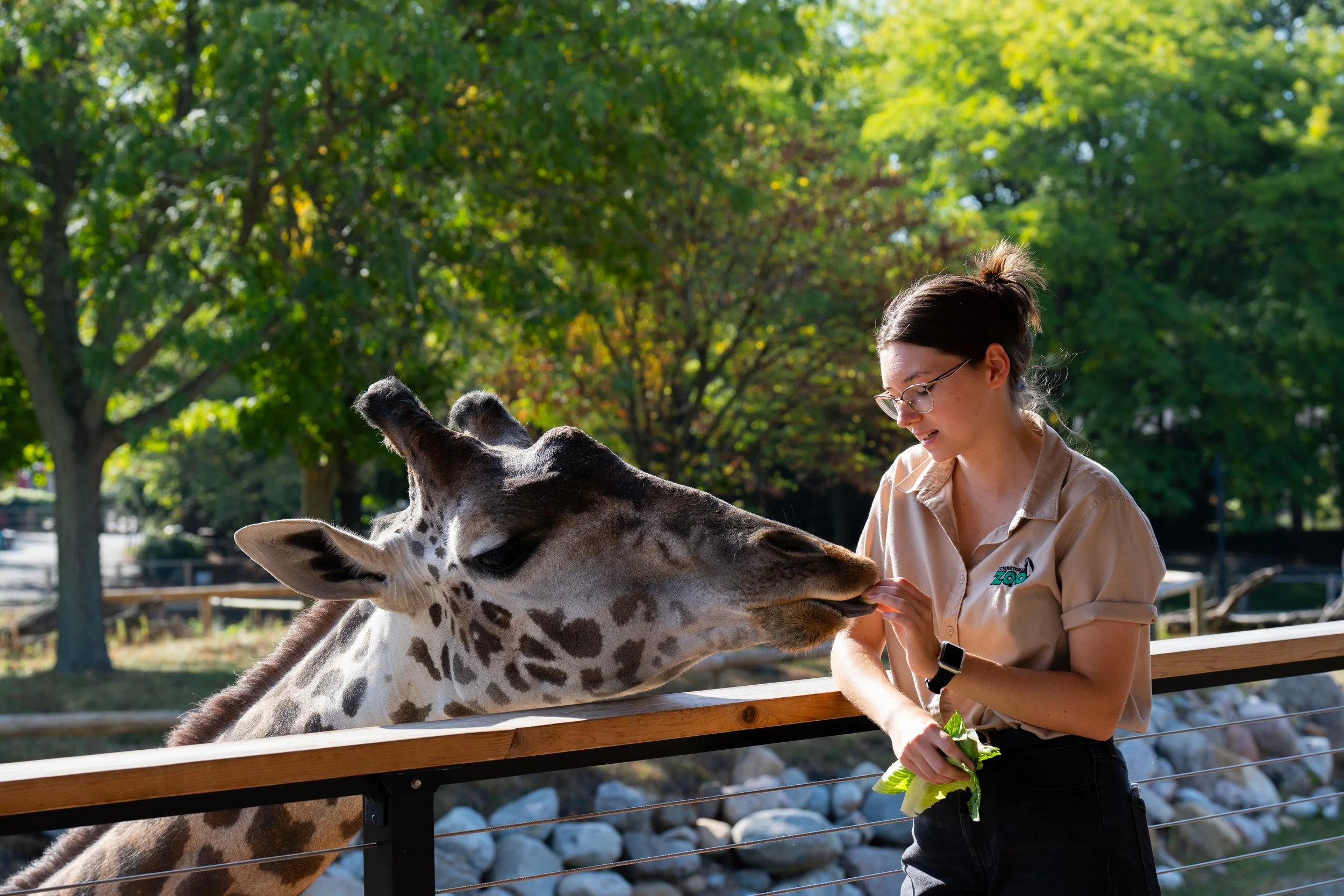 Zoo-10.jpg