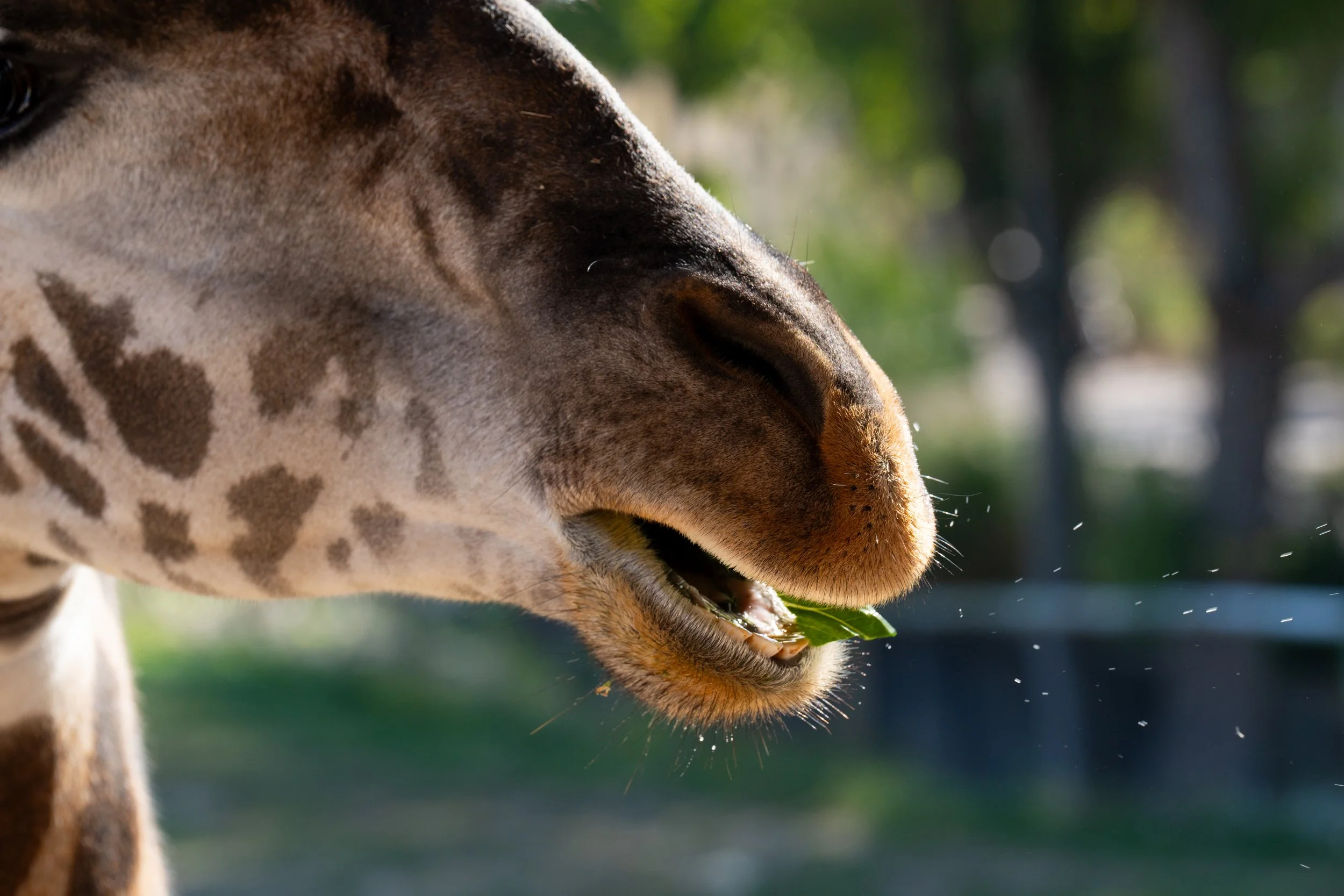 Zoo-12.jpg