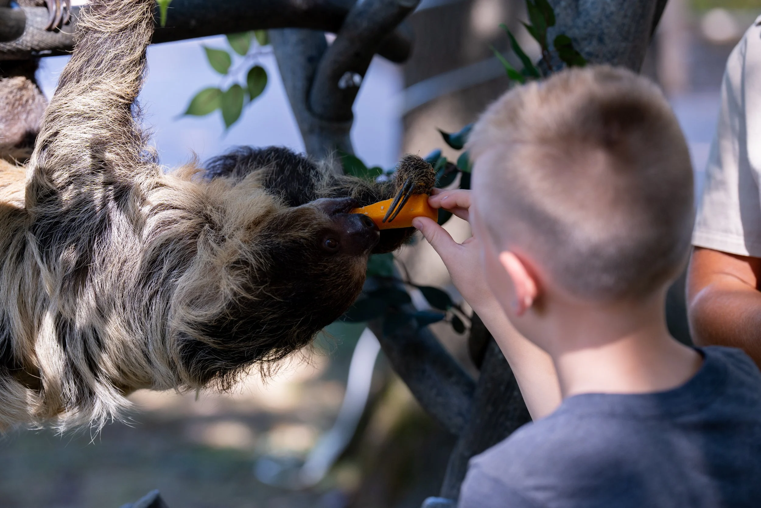 Zoo-32.jpg