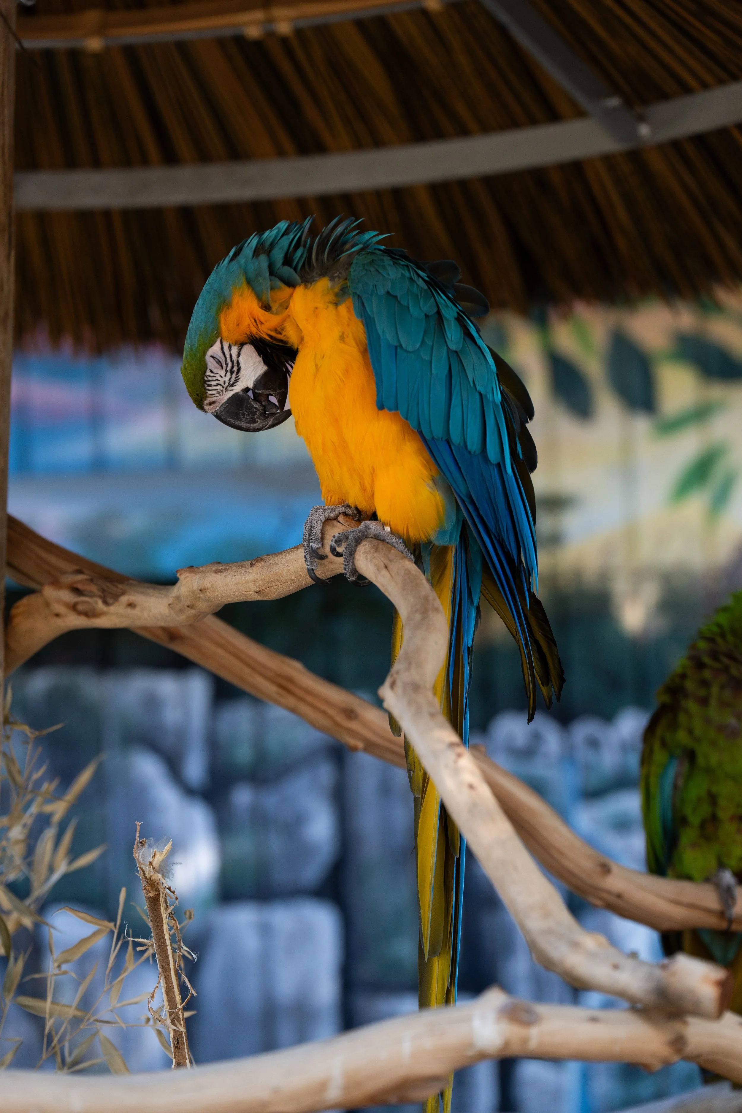 Zoo-17.jpg