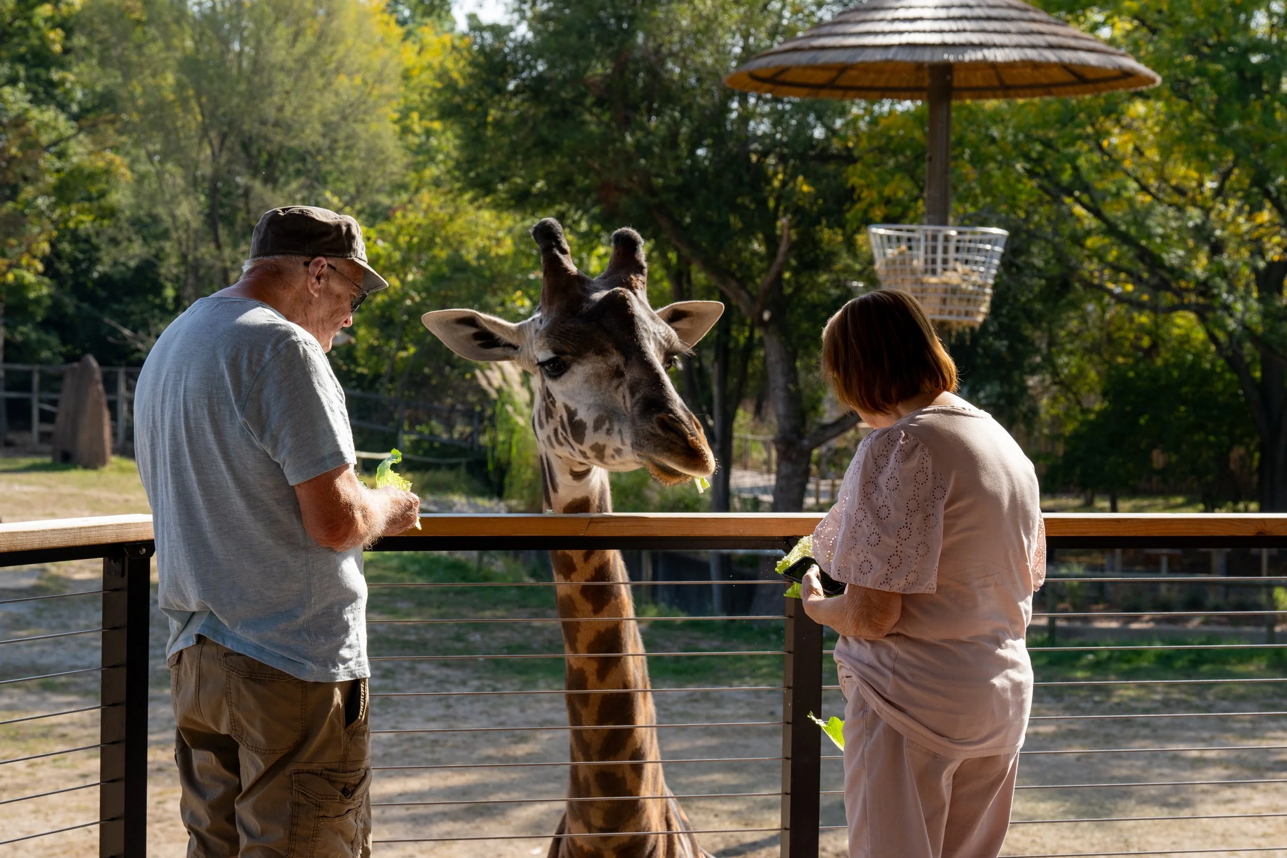 Zoo-15.jpg